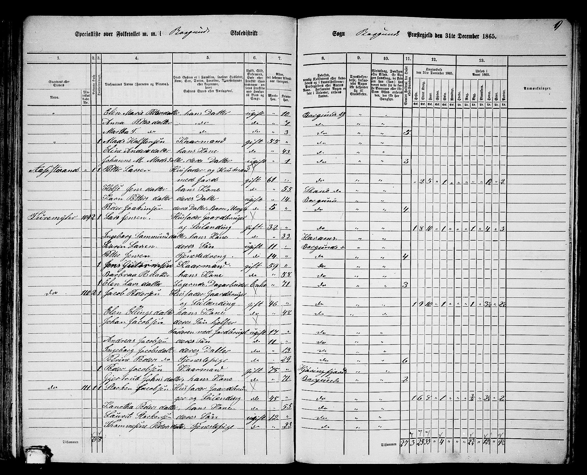 RA, 1865 census for Borgund, 1865, p. 68