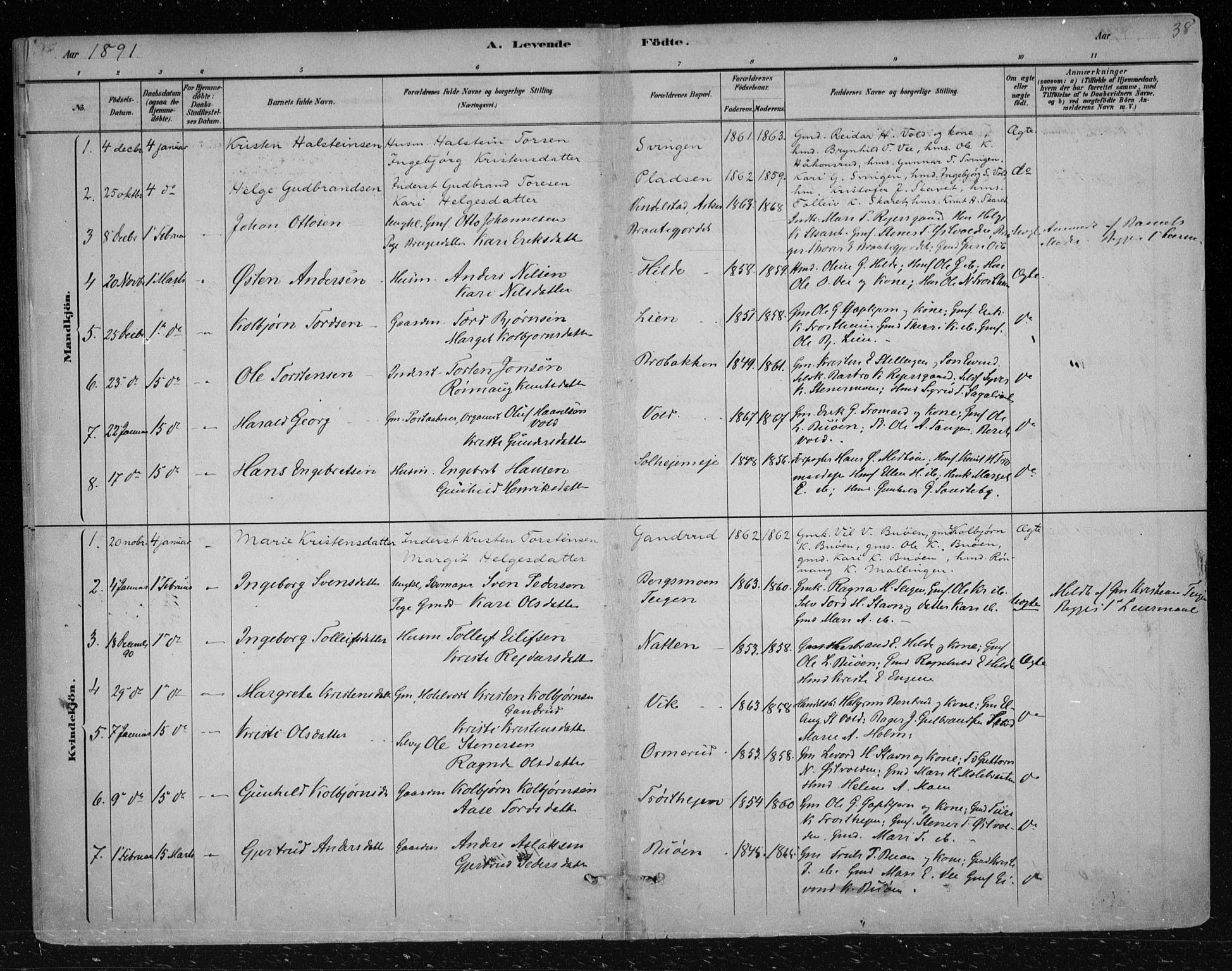 Nes kirkebøker, SAKO/A-236/F/Fa/L0012: Parish register (official) no. 12, 1881-1917, p. 38