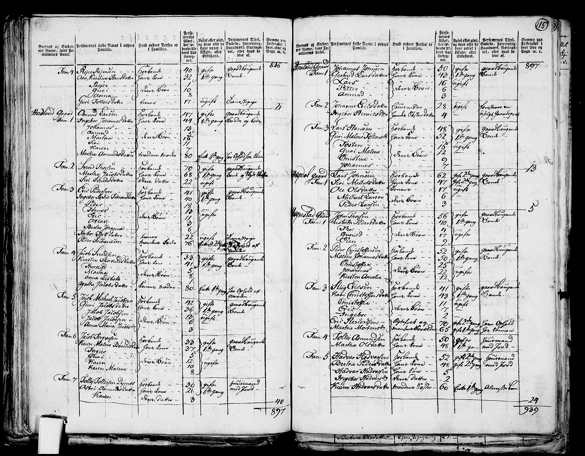 RA, 1801 census for 1116P Eigersund, 1801, p. 114b-115a