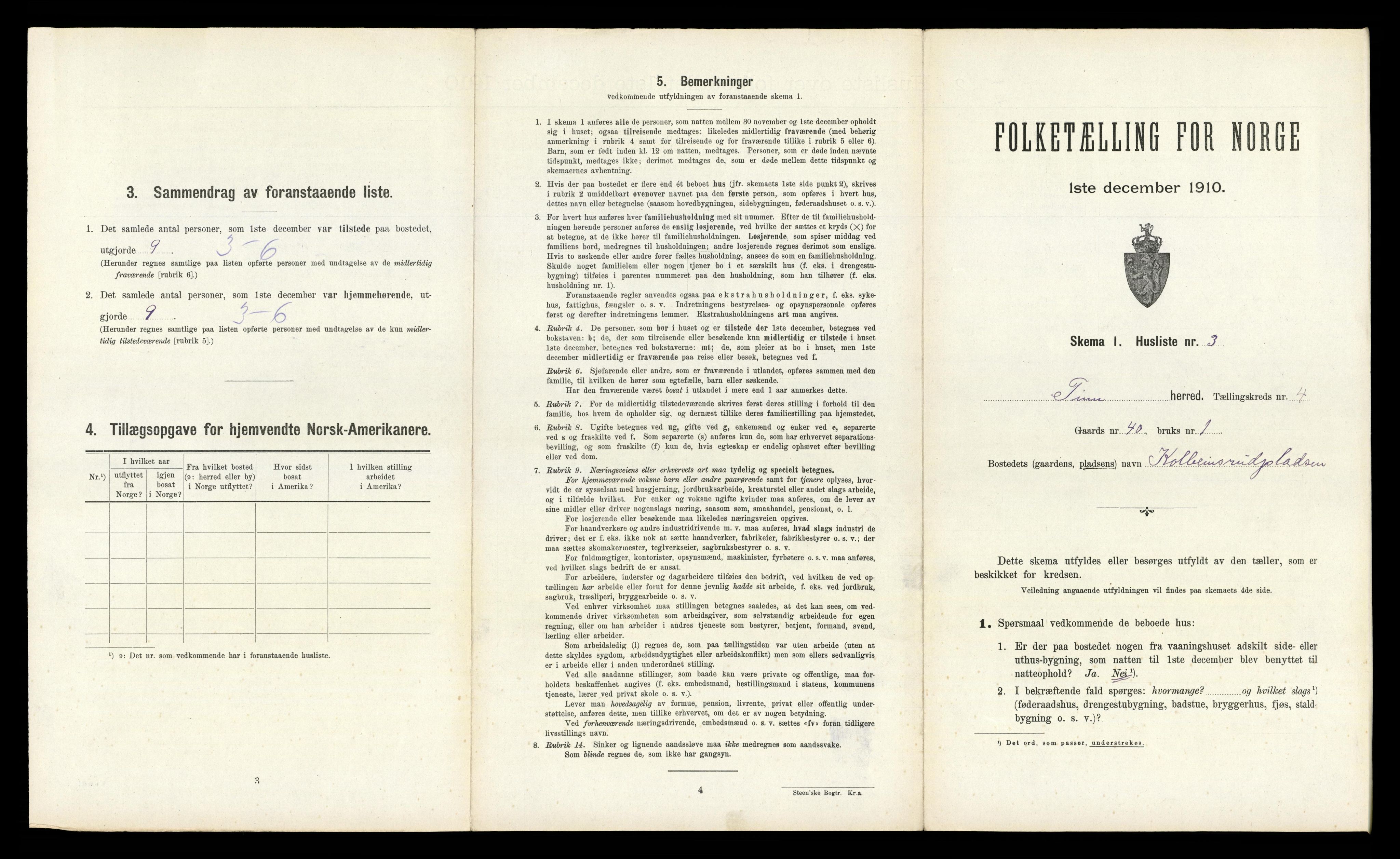 RA, 1910 census for Tinn, 1910, p. 333