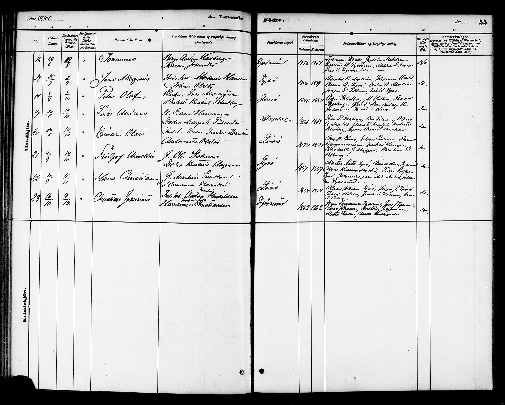 Ministerialprotokoller, klokkerbøker og fødselsregistre - Sør-Trøndelag, SAT/A-1456/654/L0663: Parish register (official) no. 654A01, 1880-1894, p. 55