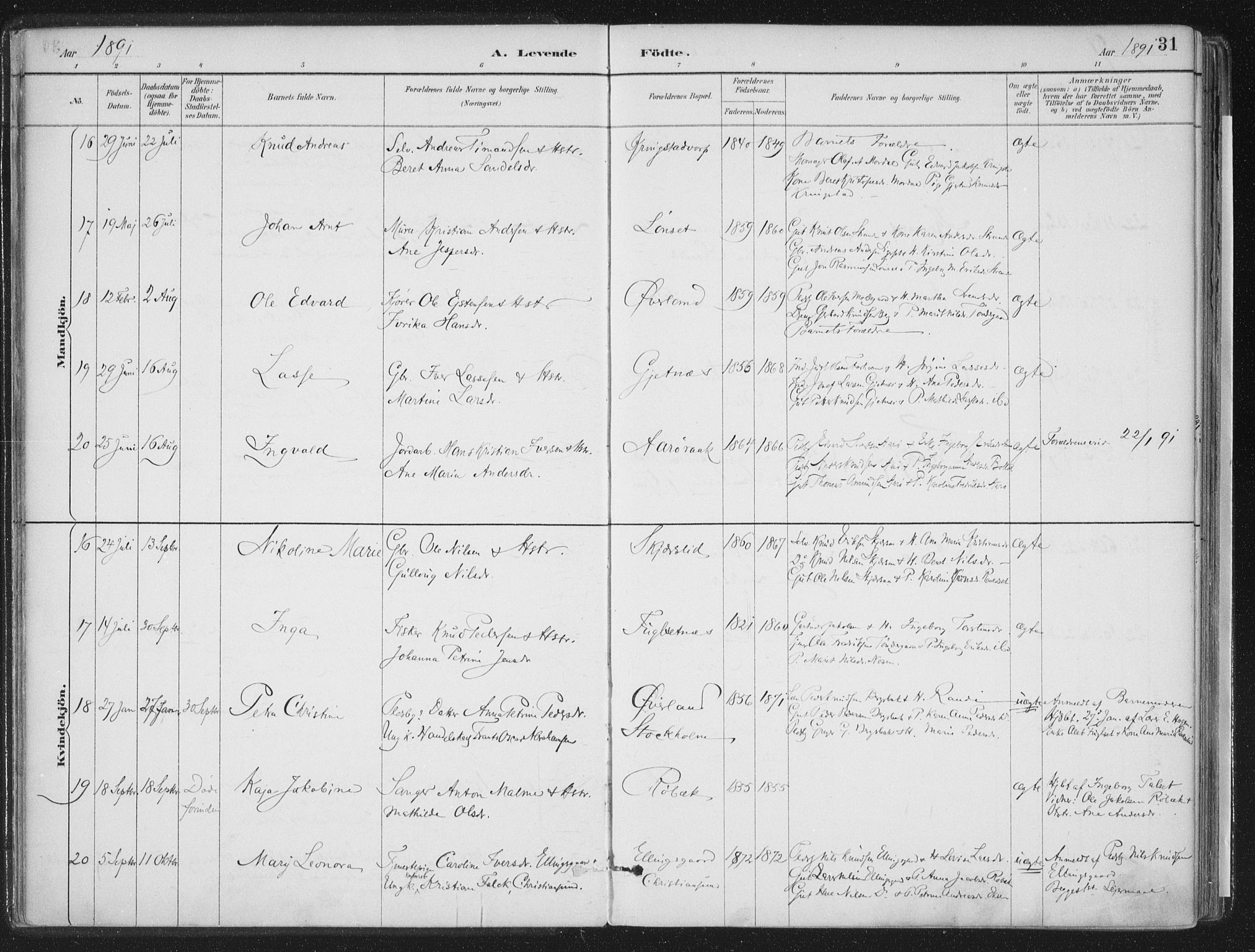 Ministerialprotokoller, klokkerbøker og fødselsregistre - Møre og Romsdal, AV/SAT-A-1454/555/L0658: Parish register (official) no. 555A09, 1887-1917, p. 31