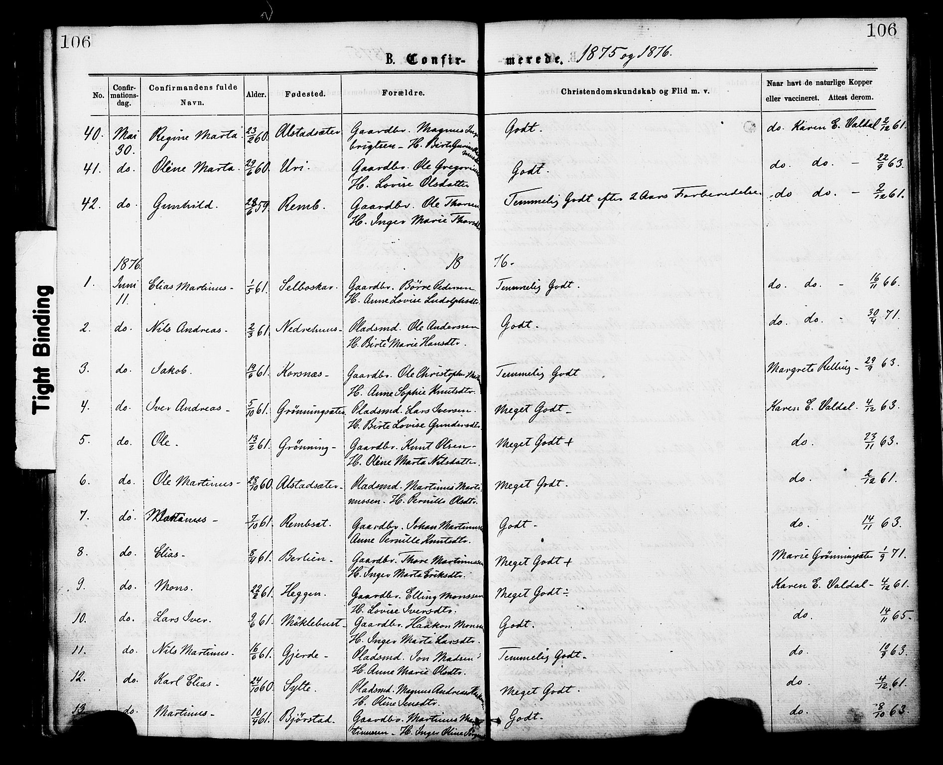 Ministerialprotokoller, klokkerbøker og fødselsregistre - Møre og Romsdal, AV/SAT-A-1454/519/L0254: Parish register (official) no. 519A13, 1868-1883, p. 106