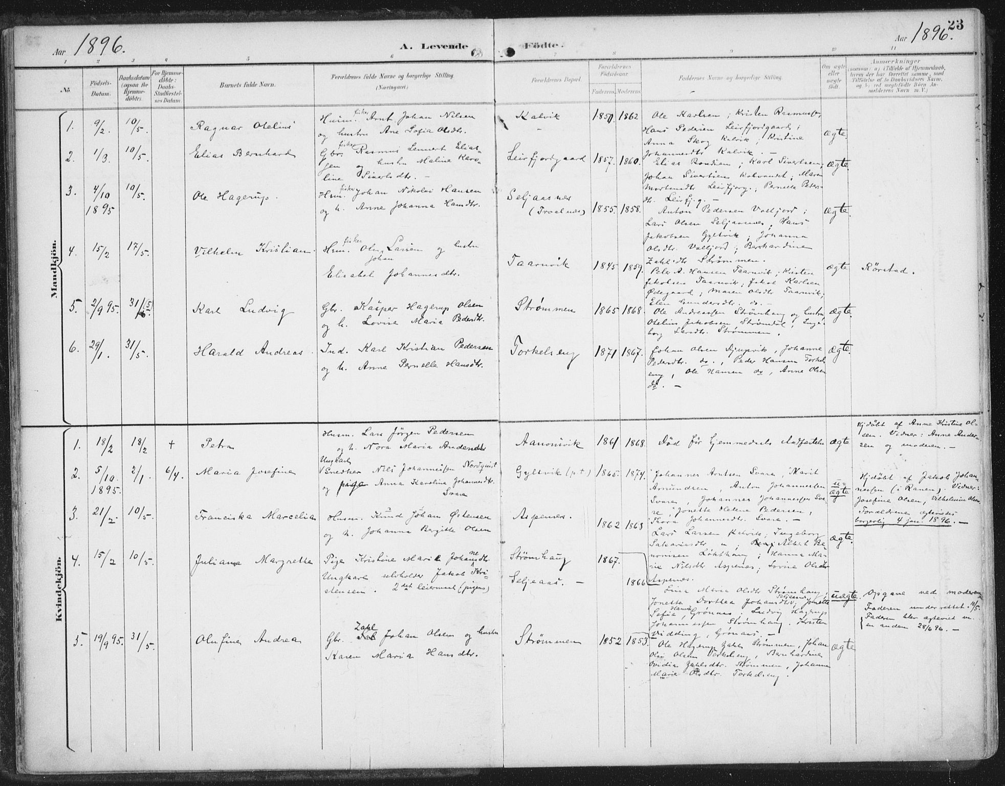 Ministerialprotokoller, klokkerbøker og fødselsregistre - Nordland, SAT/A-1459/854/L0779: Parish register (official) no. 854A02, 1892-1909, p. 23