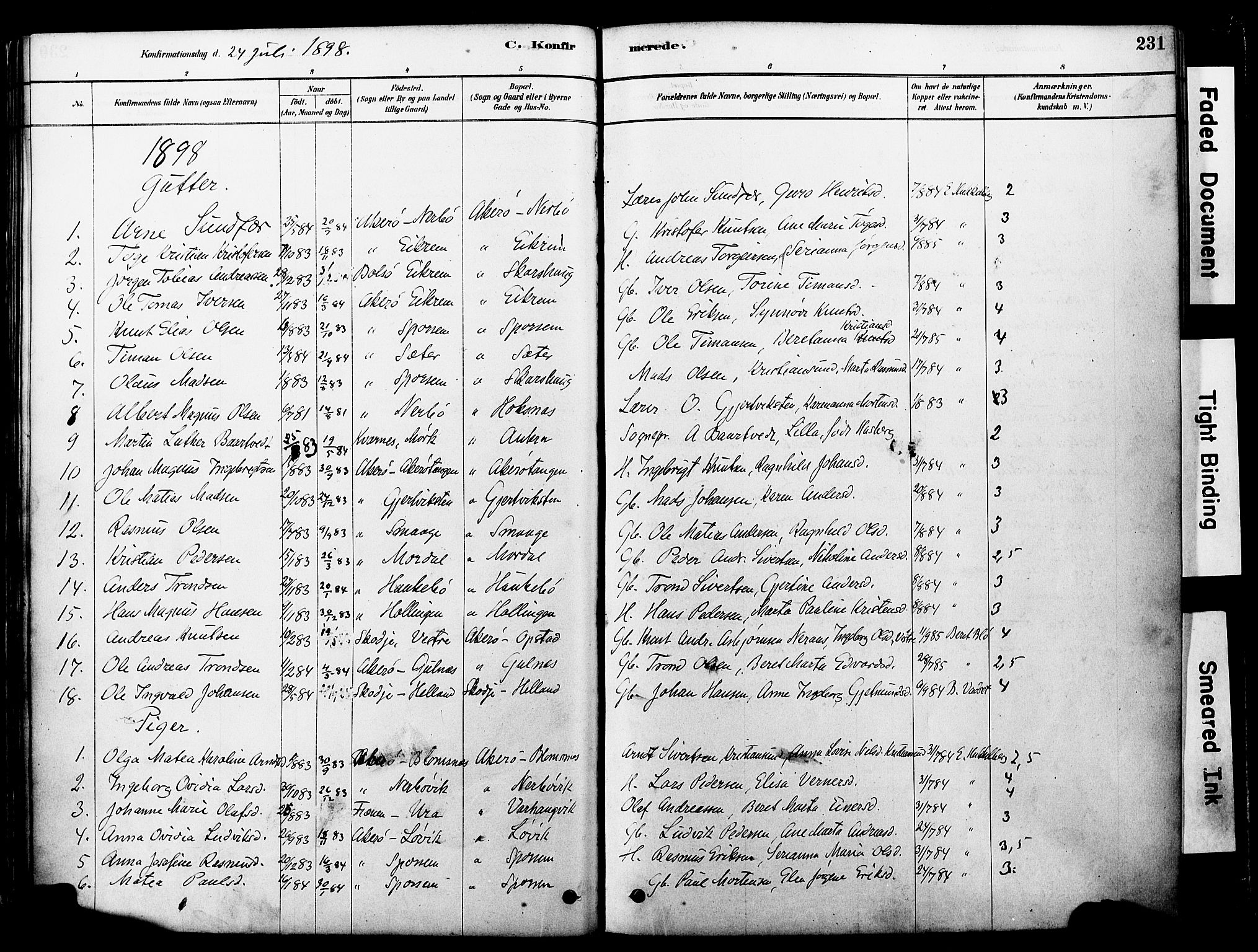 Ministerialprotokoller, klokkerbøker og fødselsregistre - Møre og Romsdal, SAT/A-1454/560/L0721: Parish register (official) no. 560A05, 1878-1917, p. 231