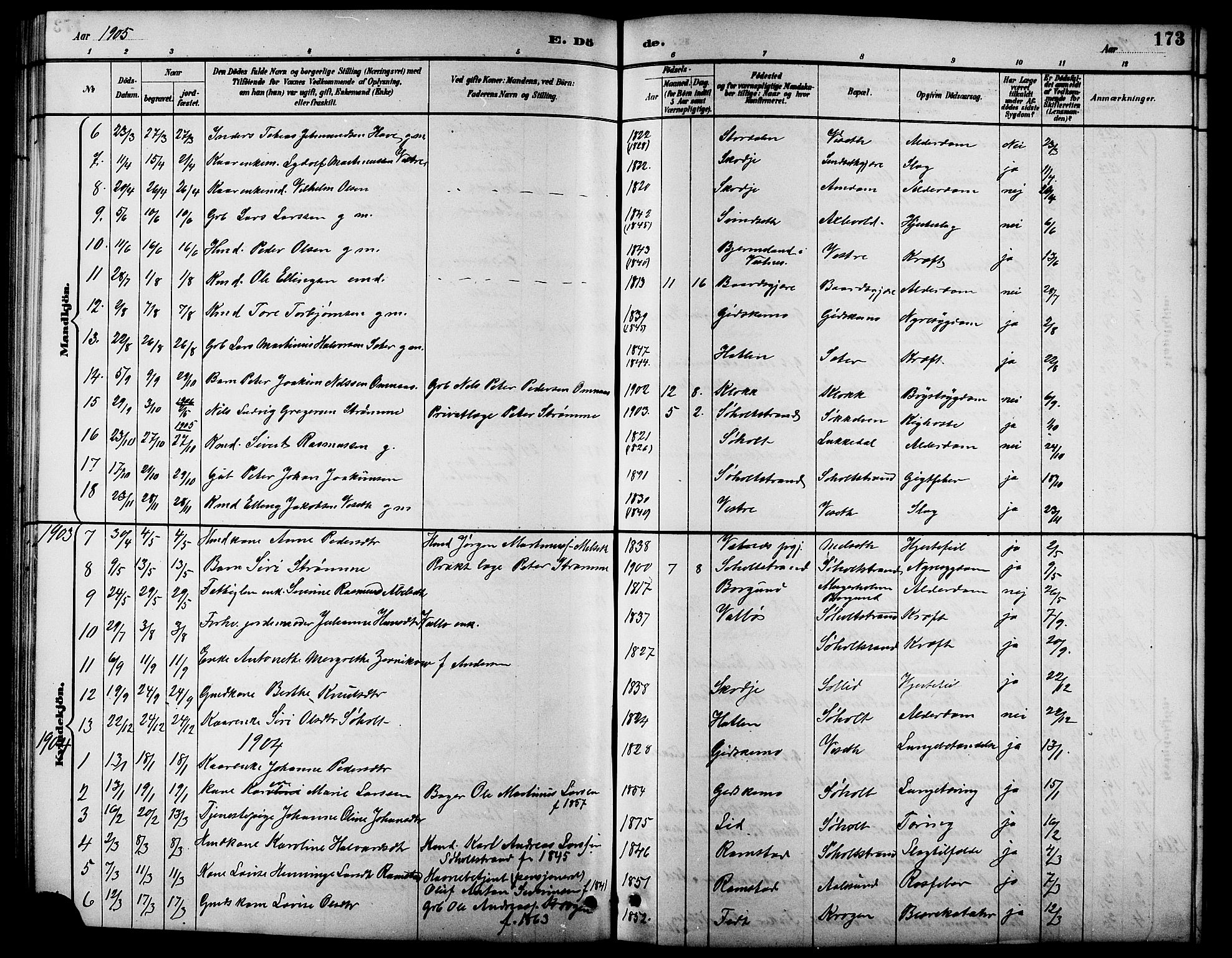 Ministerialprotokoller, klokkerbøker og fødselsregistre - Møre og Romsdal, AV/SAT-A-1454/522/L0327: Parish register (copy) no. 522C06, 1890-1915, p. 173