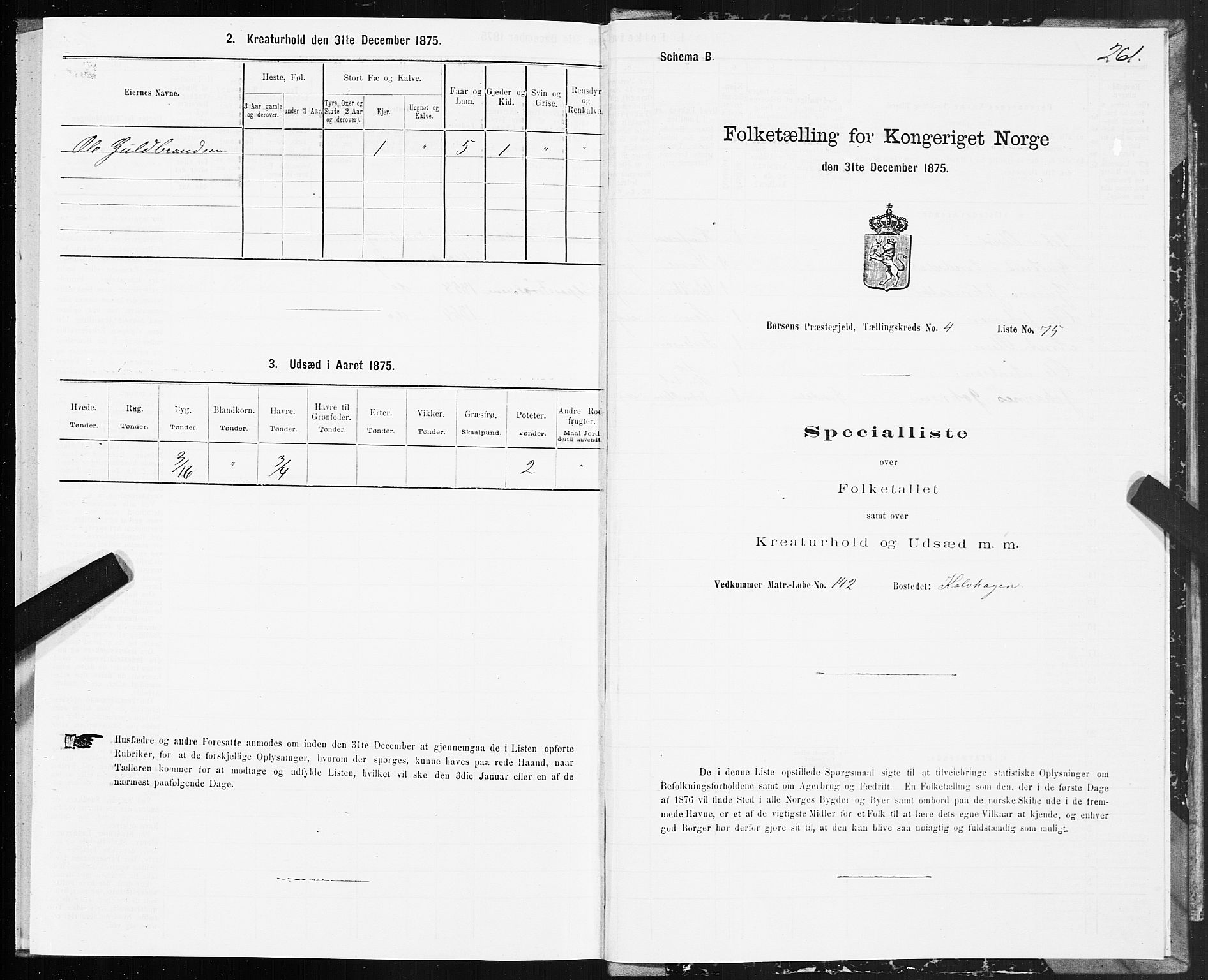 SAT, 1875 census for 1658P Børsa, 1875, p. 3261