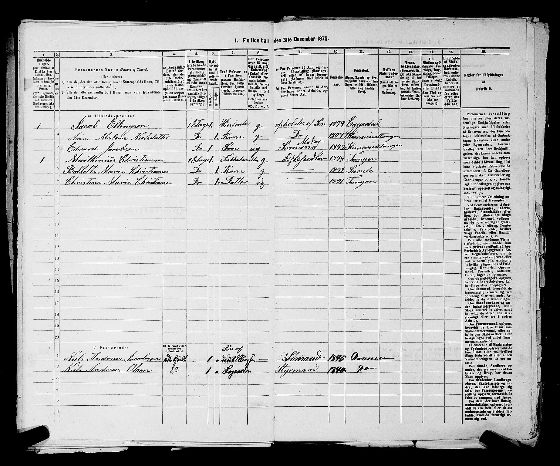 SAKO, 1875 census for 0602 Drammen, 1875, p. 3721