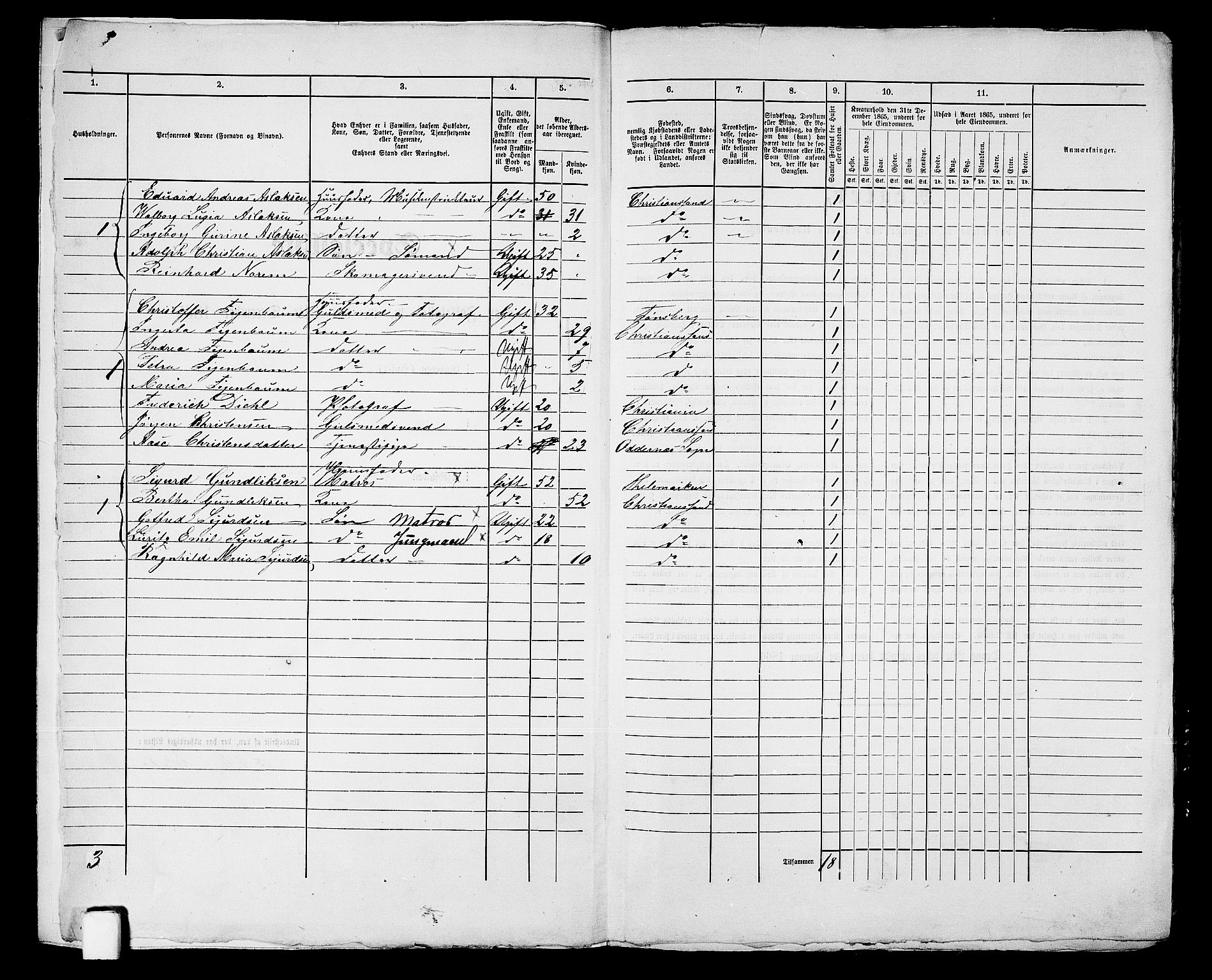 RA, 1865 census for Kristiansand, 1865, p. 1540