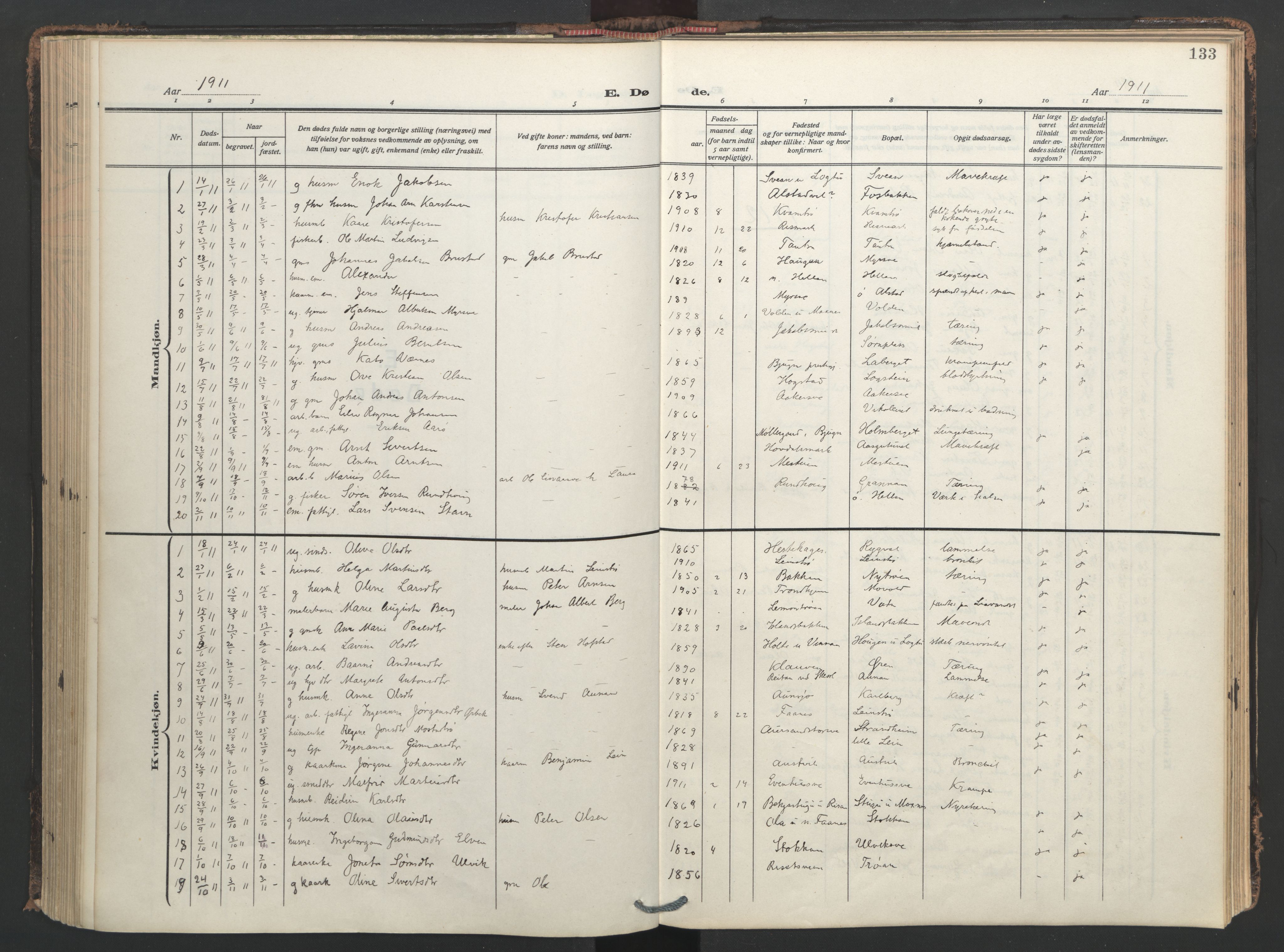 Ministerialprotokoller, klokkerbøker og fødselsregistre - Nord-Trøndelag, SAT/A-1458/713/L0123: Parish register (official) no. 713A12, 1911-1925, p. 133