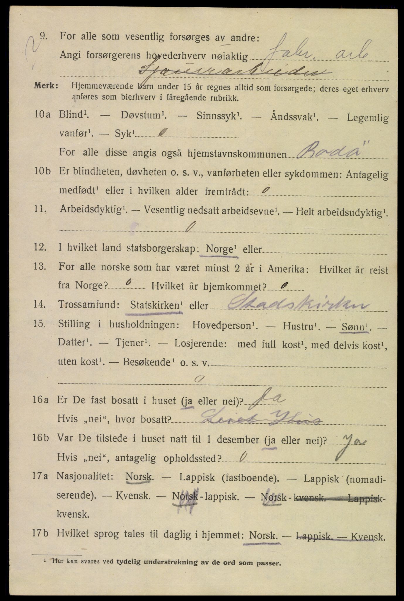 SAT, 1920 census for Bodø, 1920, p. 3290