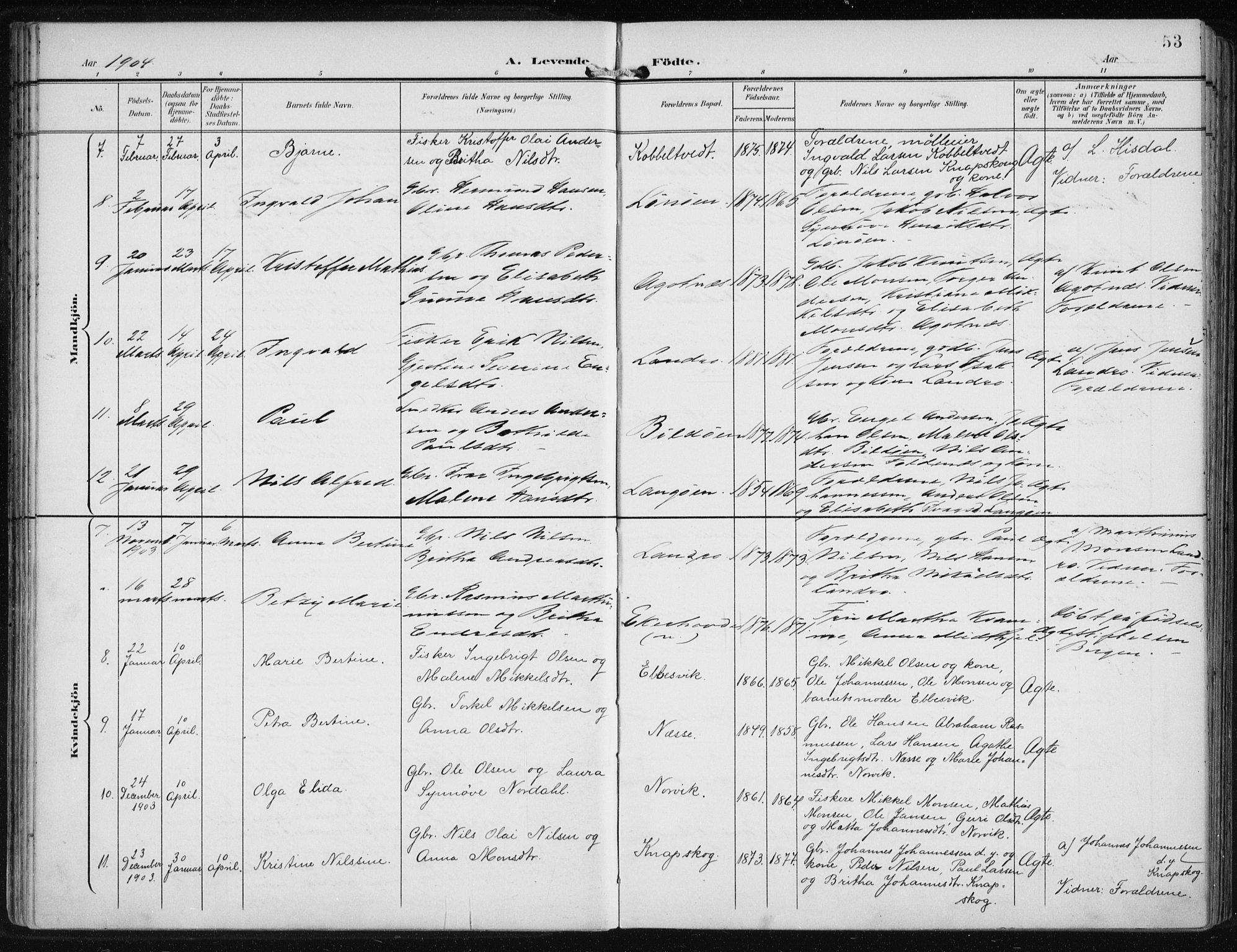 Fjell sokneprestembete, SAB/A-75301/H/Haa: Parish register (official) no. A  9, 1899-1910, p. 53