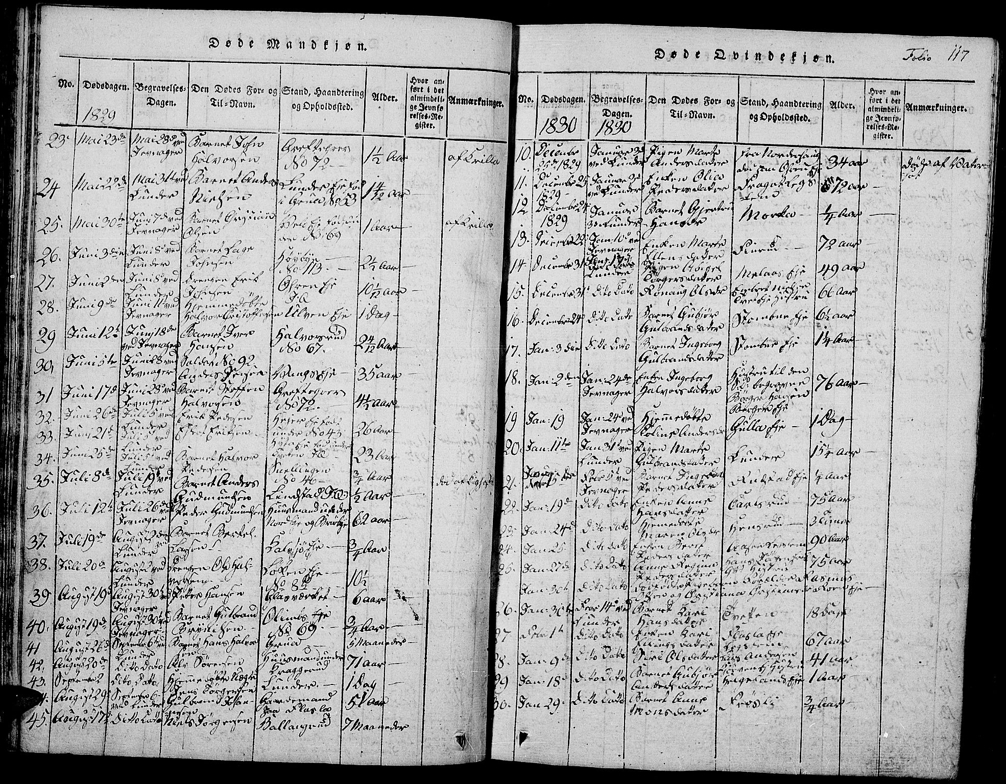 Jevnaker prestekontor, SAH/PREST-116/H/Ha/Hab/L0001: Parish register (copy) no. 1, 1815-1837, p. 117