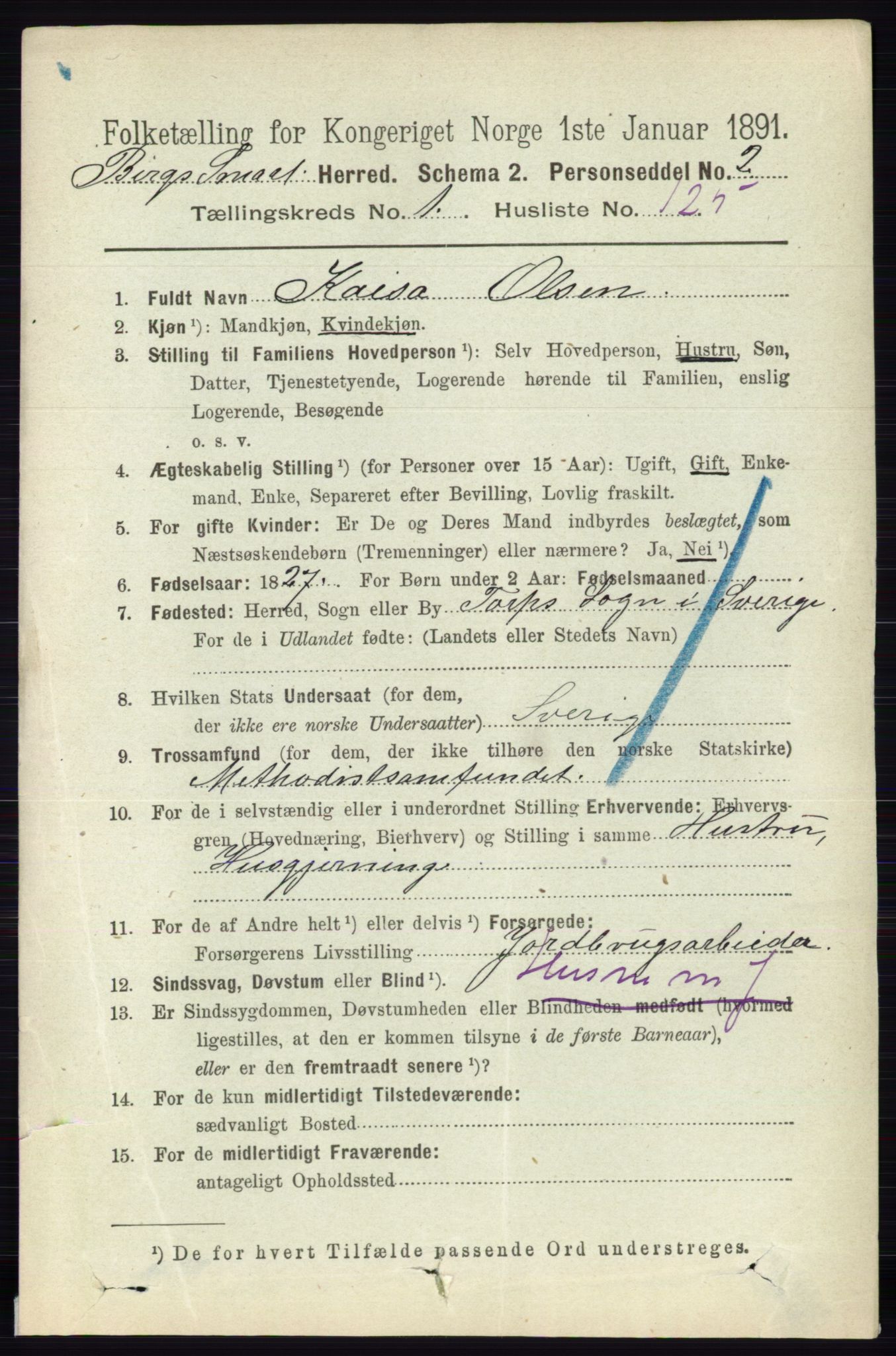 RA, 1891 census for 0116 Berg, 1891, p. 849