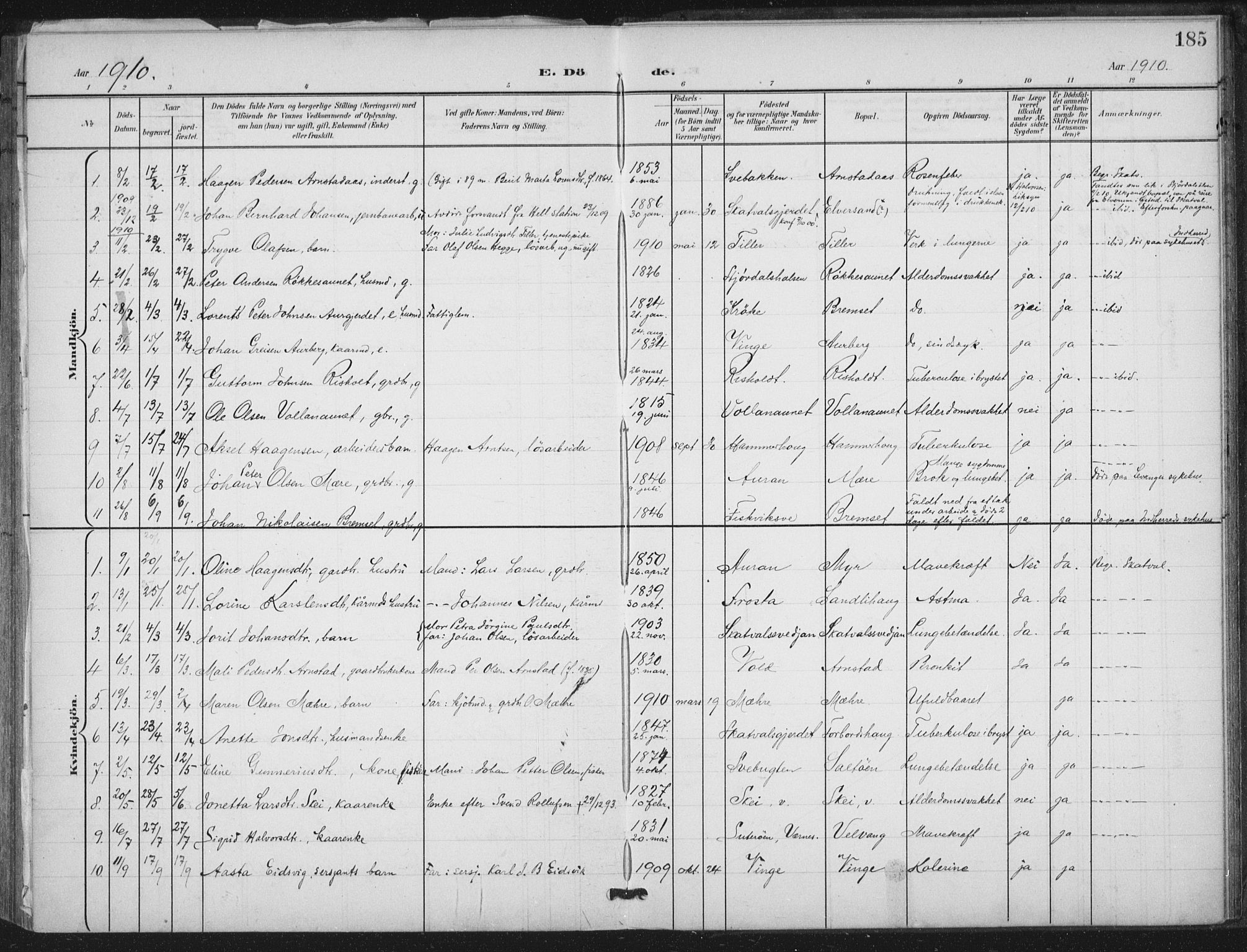 Ministerialprotokoller, klokkerbøker og fødselsregistre - Nord-Trøndelag, SAT/A-1458/712/L0101: Parish register (official) no. 712A02, 1901-1916, p. 185