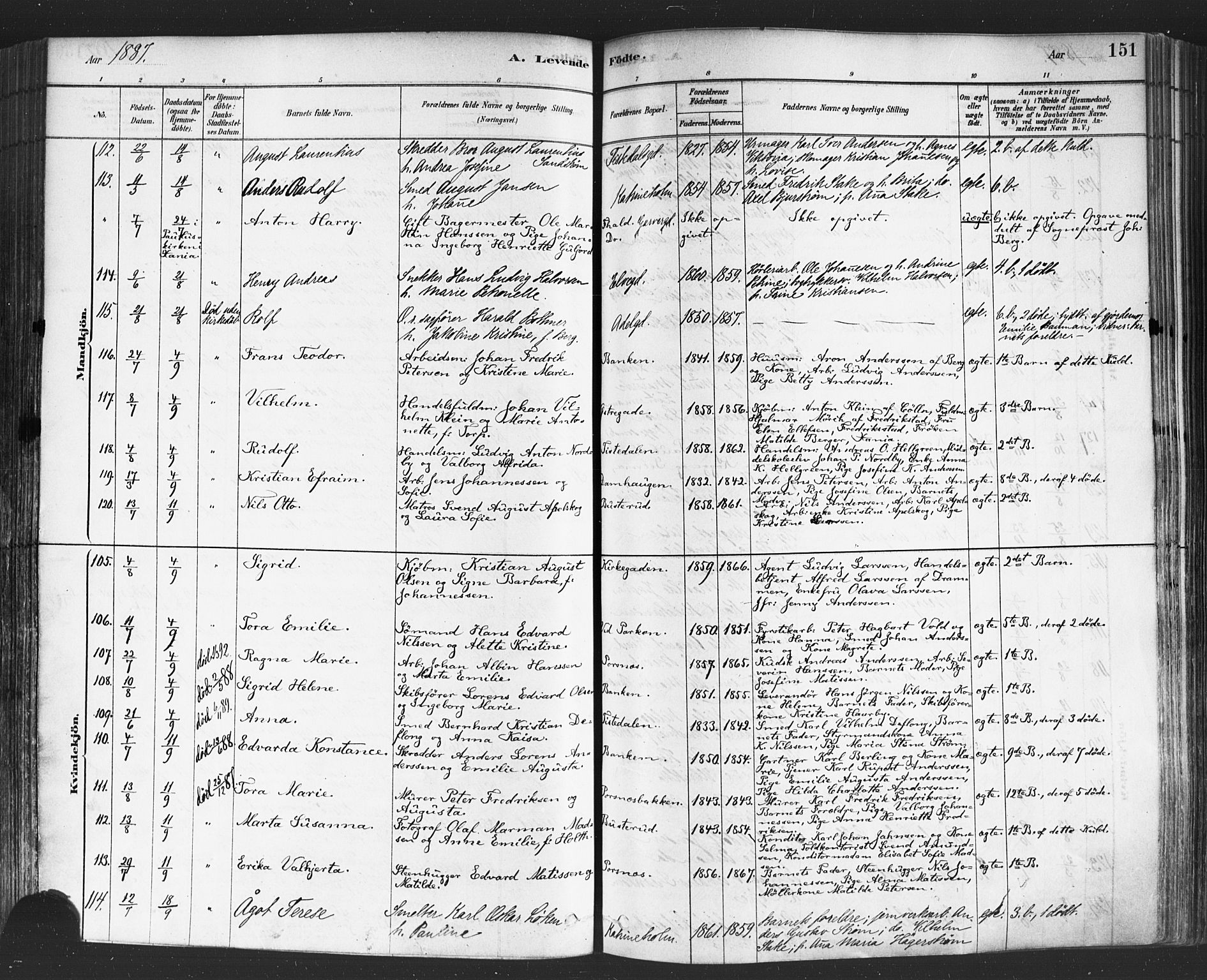 Halden prestekontor Kirkebøker, AV/SAO-A-10909/F/Fa/L0011: Parish register (official) no. I 11, 1878-1889, p. 151
