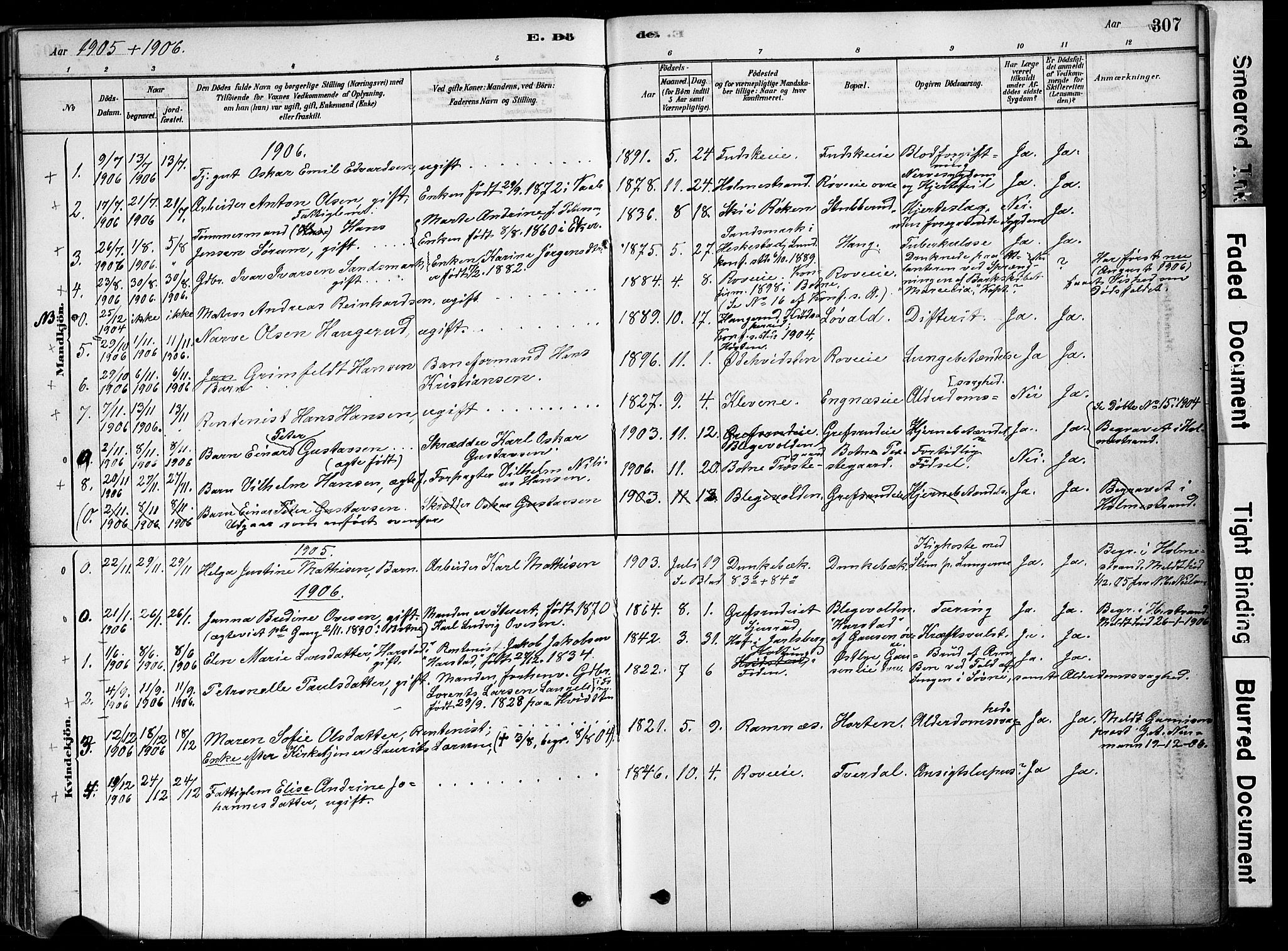 Botne kirkebøker, AV/SAKO-A-340/F/Fa/L0007: Parish register (official) no. I 7, 1878-1910, p. 307