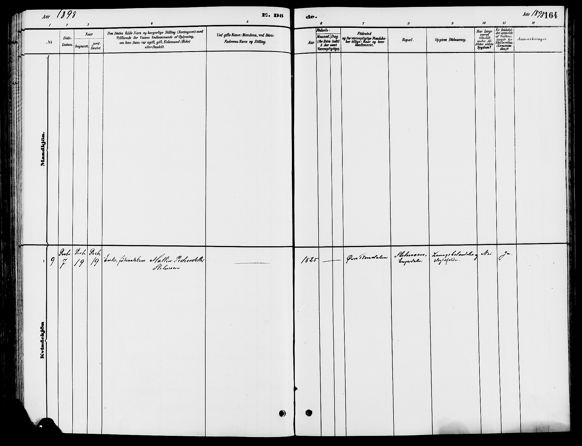 Engerdal prestekontor, AV/SAH-PREST-048/H/Ha/Haa/L0001: Parish register (official) no. 1, 1881-1898, p. 164