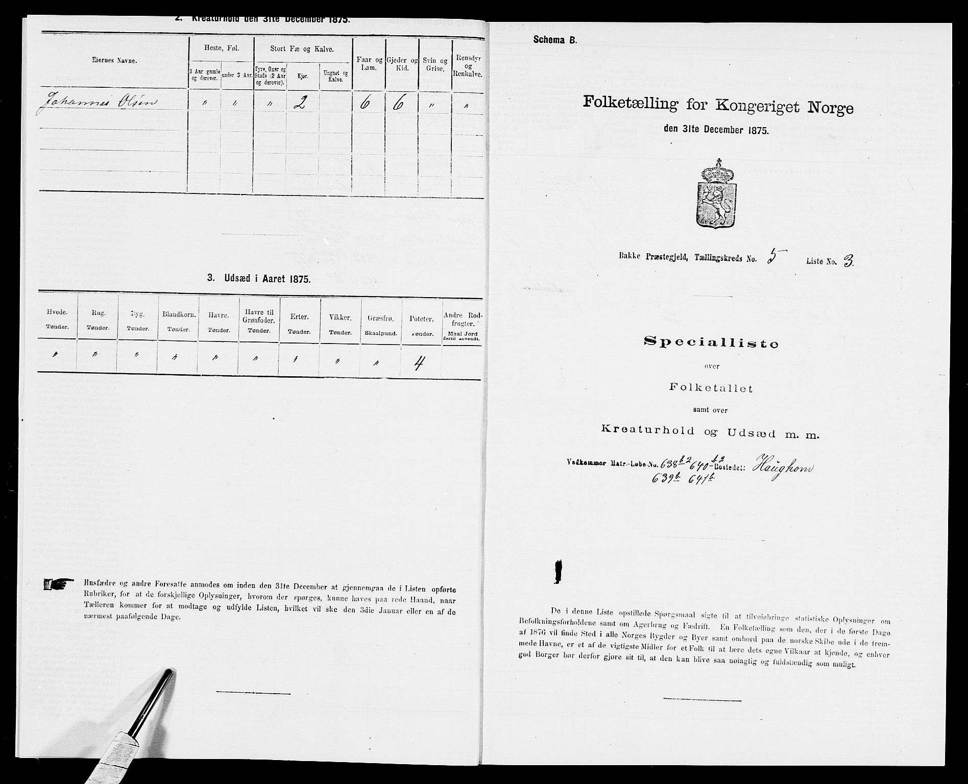 SAK, 1875 census for 1045P Bakke, 1875, p. 489