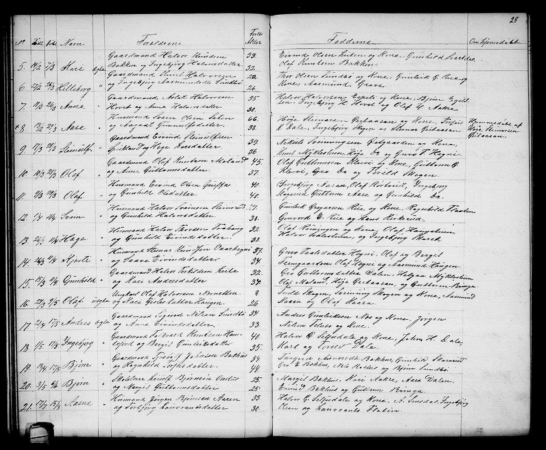 Seljord kirkebøker, SAKO/A-20/G/Gb/L0003: Parish register (copy) no. II 3, 1863-1884, p. 28