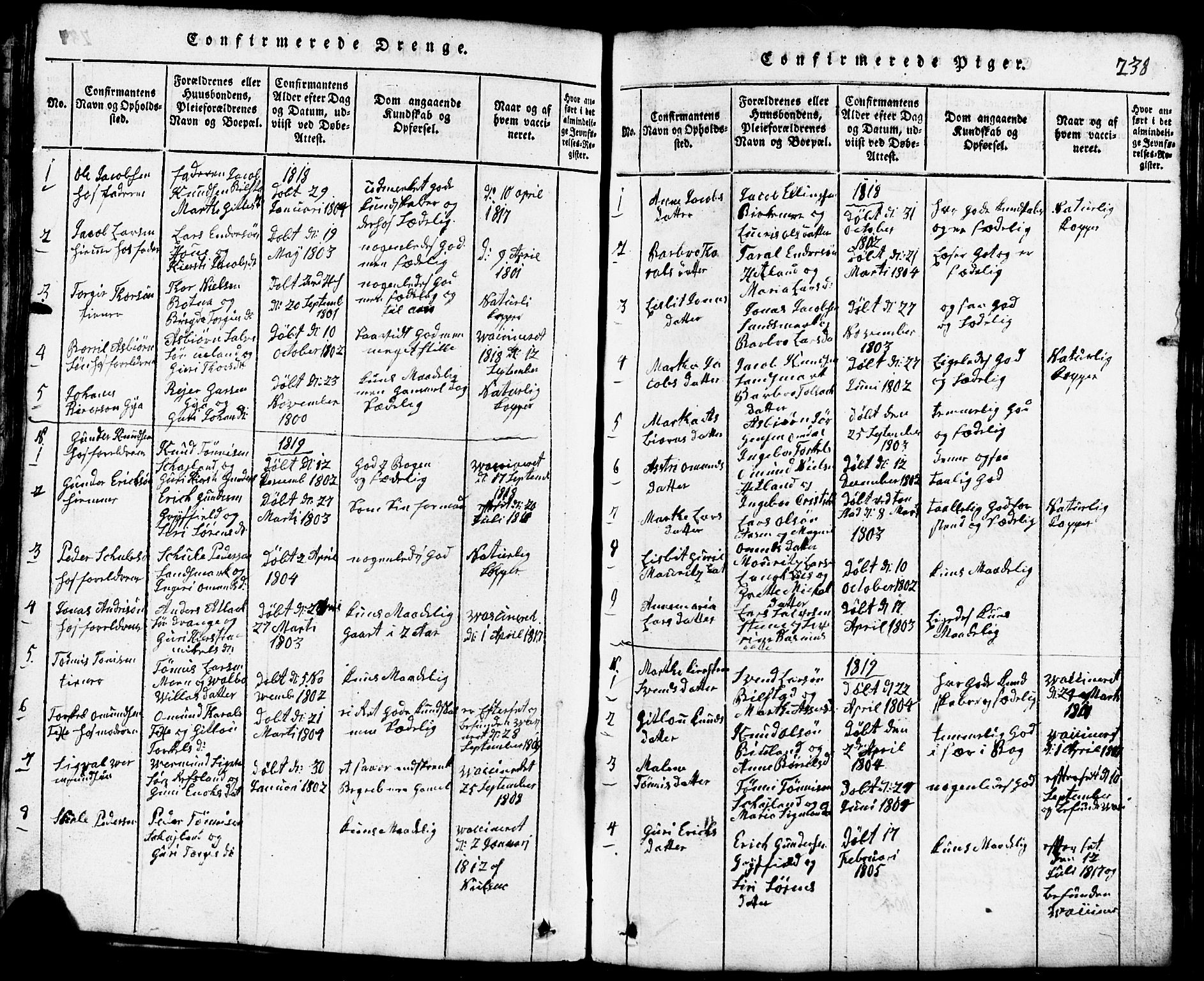 Lund sokneprestkontor, SAST/A-101809/S07/L0001: Parish register (copy) no. B 1, 1815-1853, p. 238