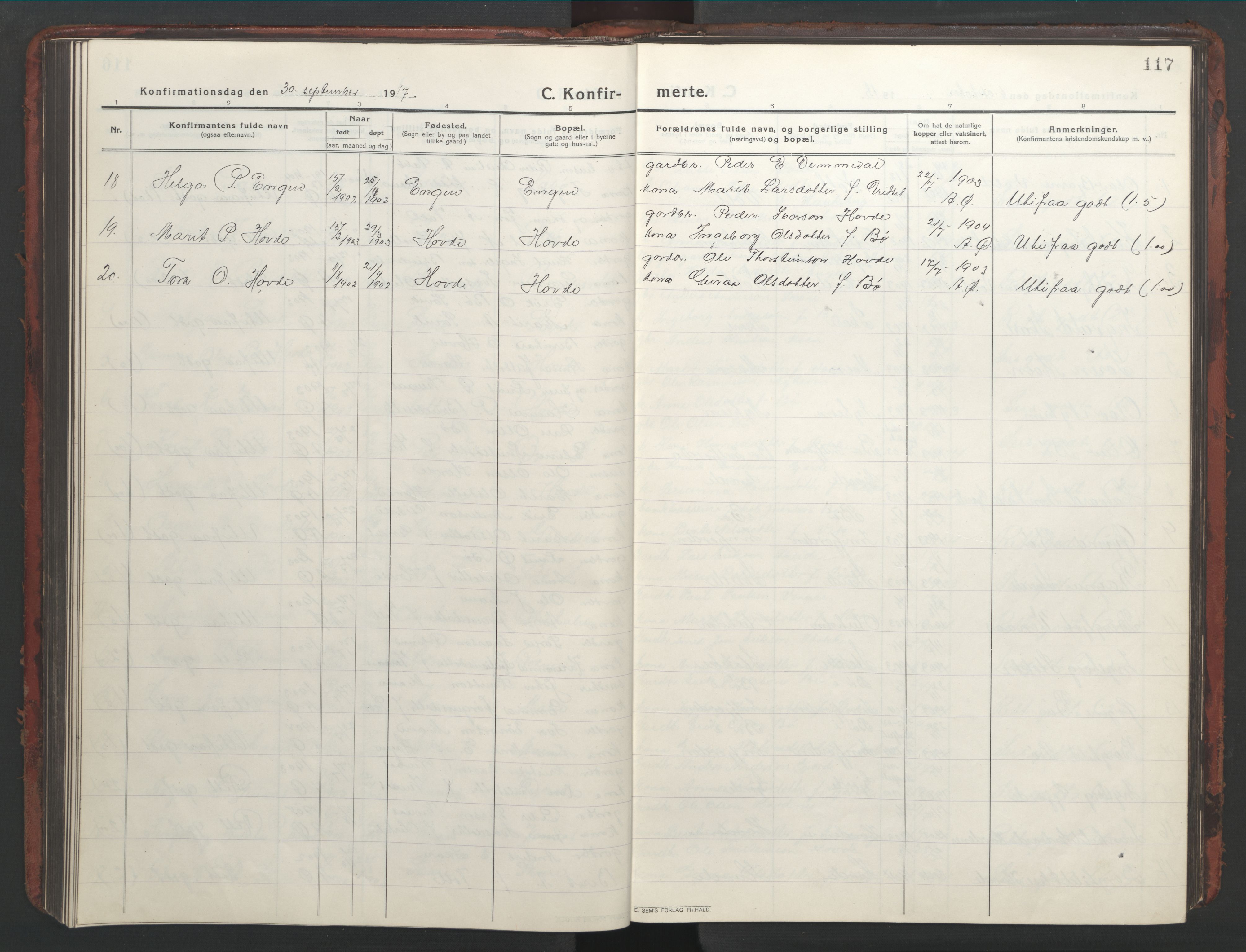 Ministerialprotokoller, klokkerbøker og fødselsregistre - Møre og Romsdal, AV/SAT-A-1454/543/L0565: Parish register (copy) no. 543C03, 1916-1955, p. 117