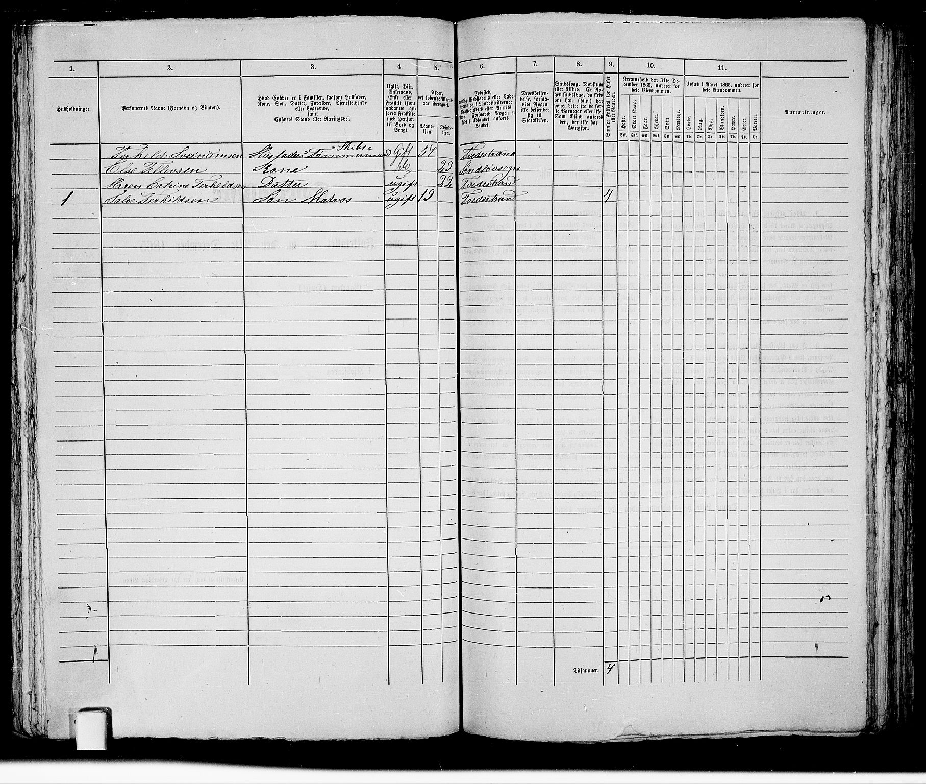 RA, 1865 census for Holt/Tvedestrand, 1865, p. 202