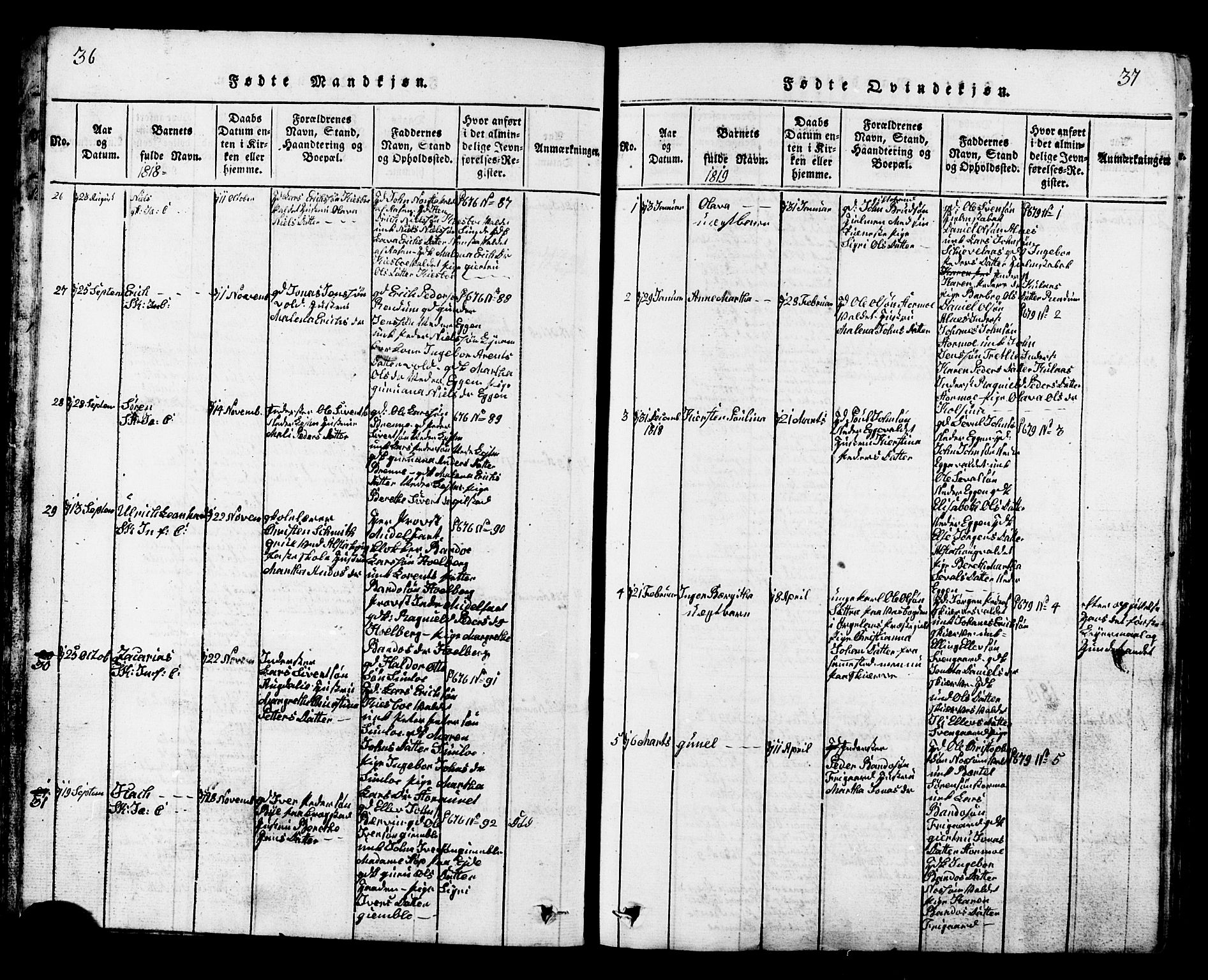 Ministerialprotokoller, klokkerbøker og fødselsregistre - Nord-Trøndelag, AV/SAT-A-1458/717/L0169: Parish register (copy) no. 717C01, 1816-1834, p. 36-37