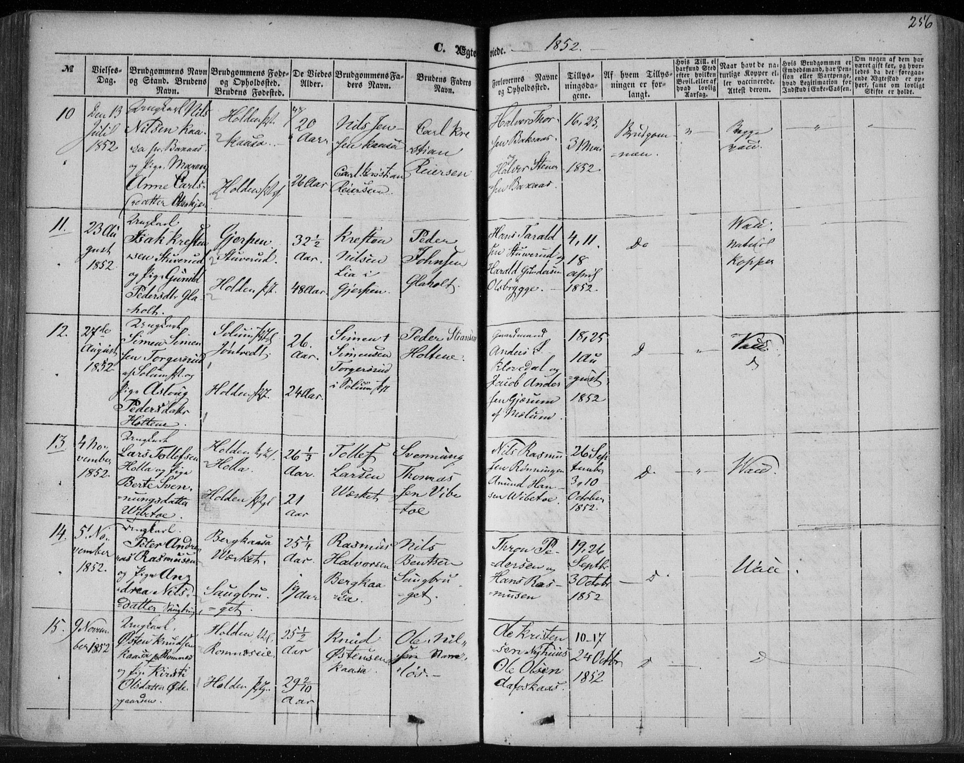Holla kirkebøker, SAKO/A-272/F/Fa/L0005: Parish register (official) no. 5, 1849-1860, p. 256