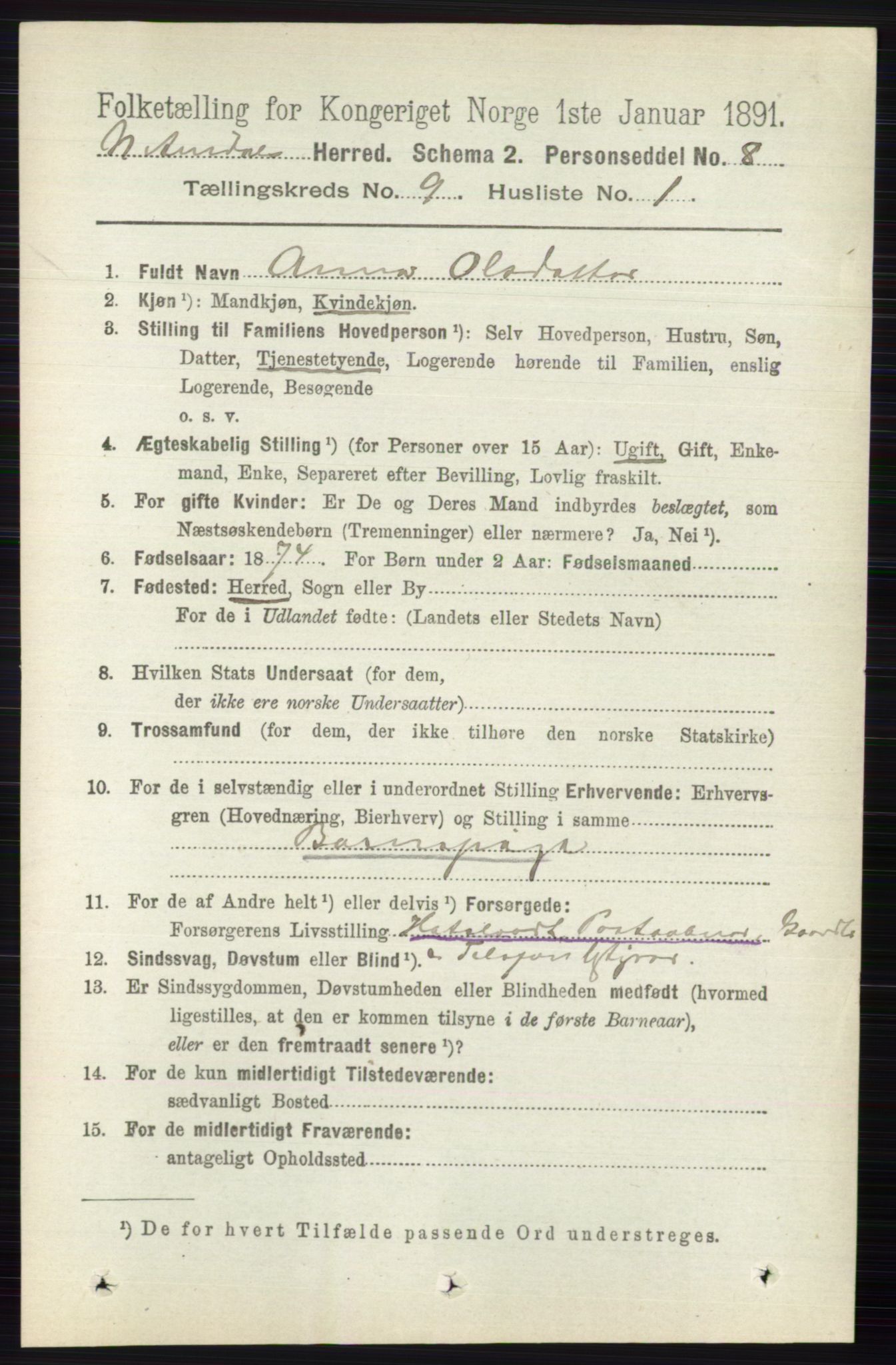 RA, 1891 census for 0542 Nord-Aurdal, 1891, p. 3423