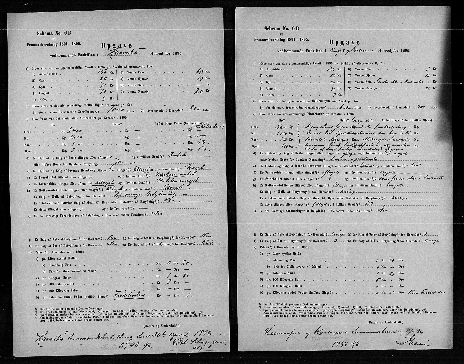 Statistisk sentralbyrå, Næringsøkonomiske emner, Generelt - Amtmennenes femårsberetninger, AV/RA-S-2233/F/Fa/L0080: --, 1895, p. 254