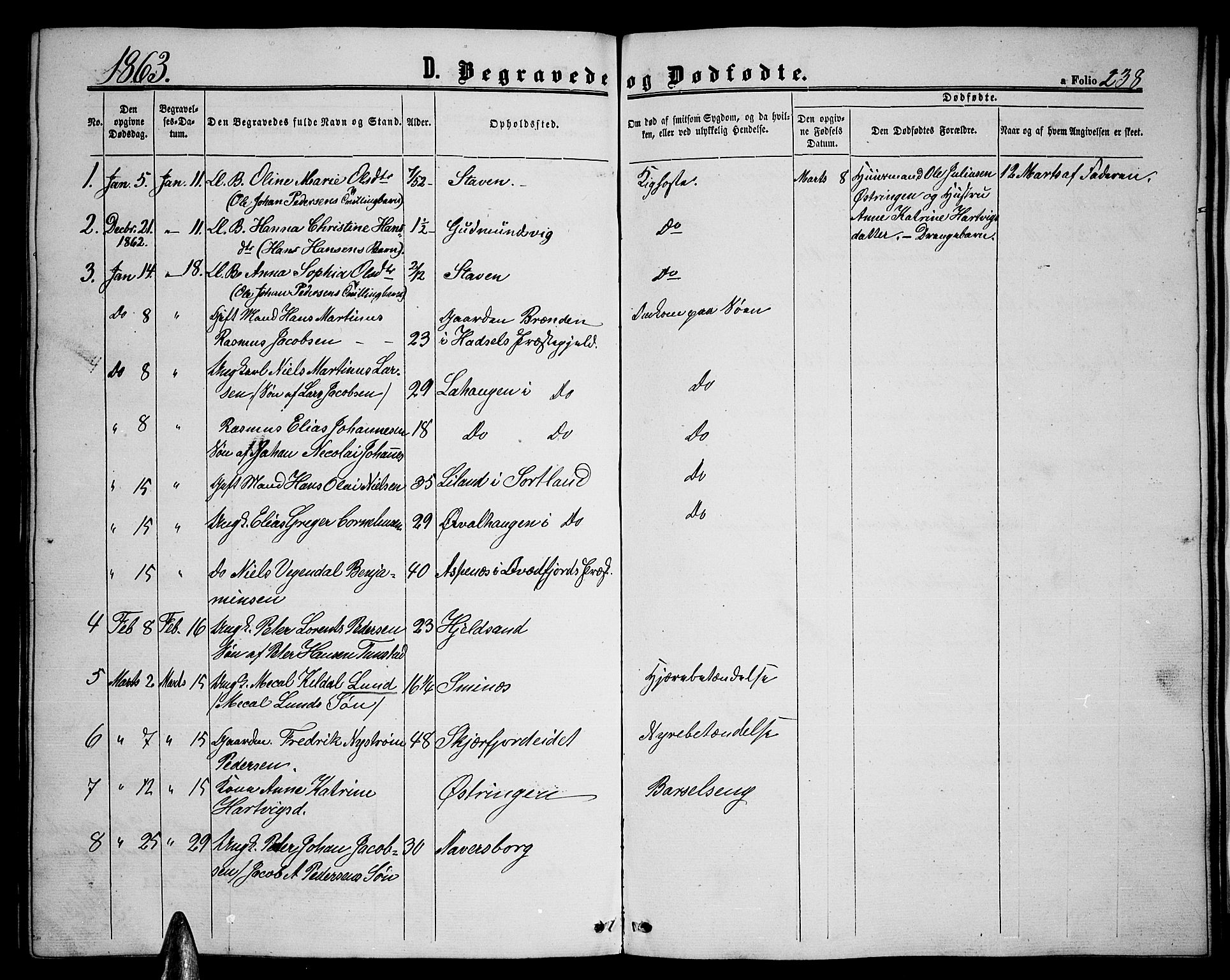 Ministerialprotokoller, klokkerbøker og fødselsregistre - Nordland, AV/SAT-A-1459/893/L1347: Parish register (copy) no. 893C02, 1858-1866, p. 238