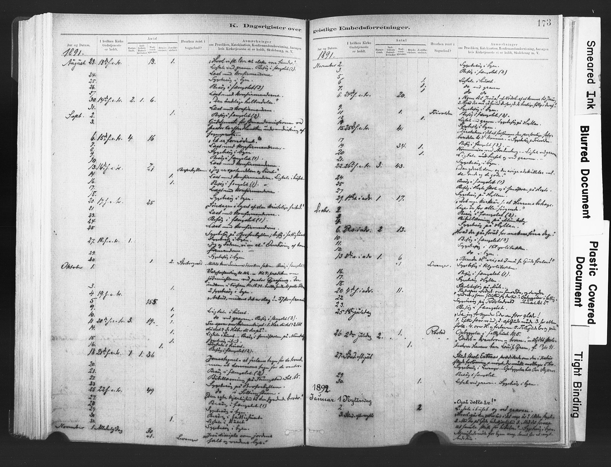 Ministerialprotokoller, klokkerbøker og fødselsregistre - Nord-Trøndelag, SAT/A-1458/720/L0189: Parish register (official) no. 720A05, 1880-1911, p. 173