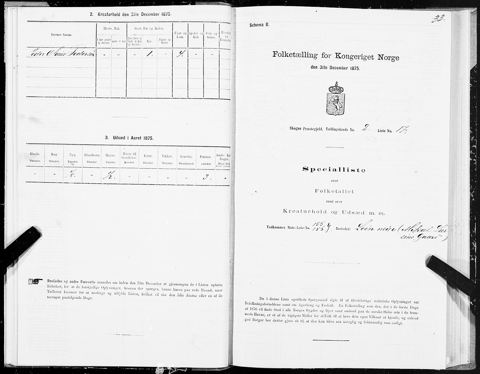 SAT, 1875 census for 1719P Skogn, 1875, p. 2033