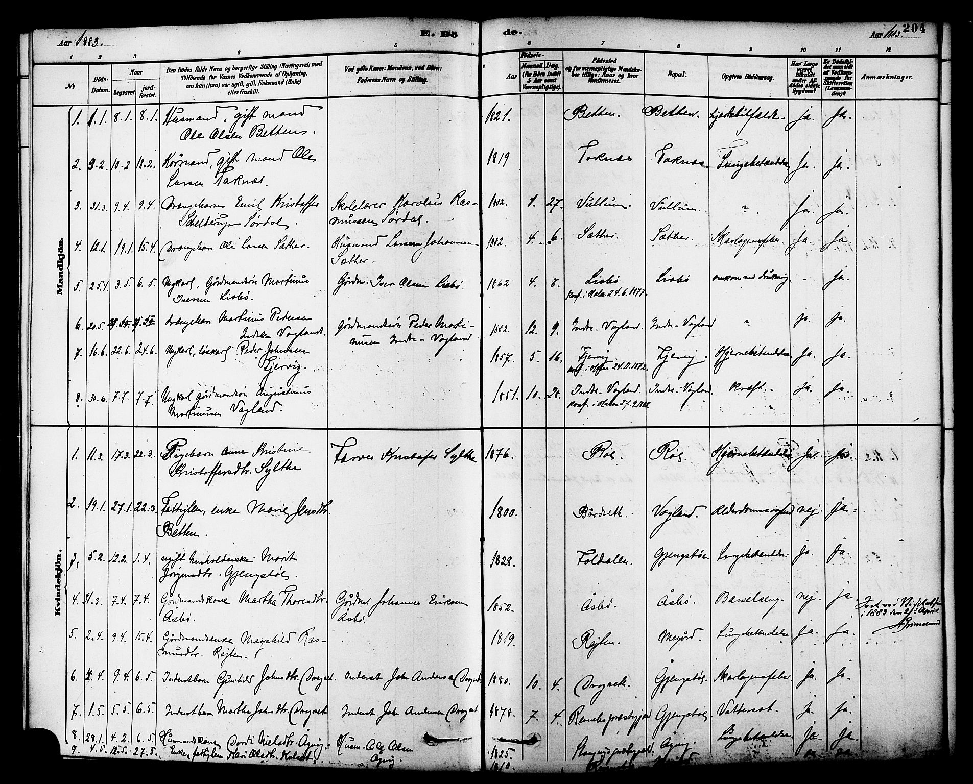 Ministerialprotokoller, klokkerbøker og fødselsregistre - Møre og Romsdal, AV/SAT-A-1454/576/L0885: Parish register (official) no. 576A03, 1880-1898, p. 204