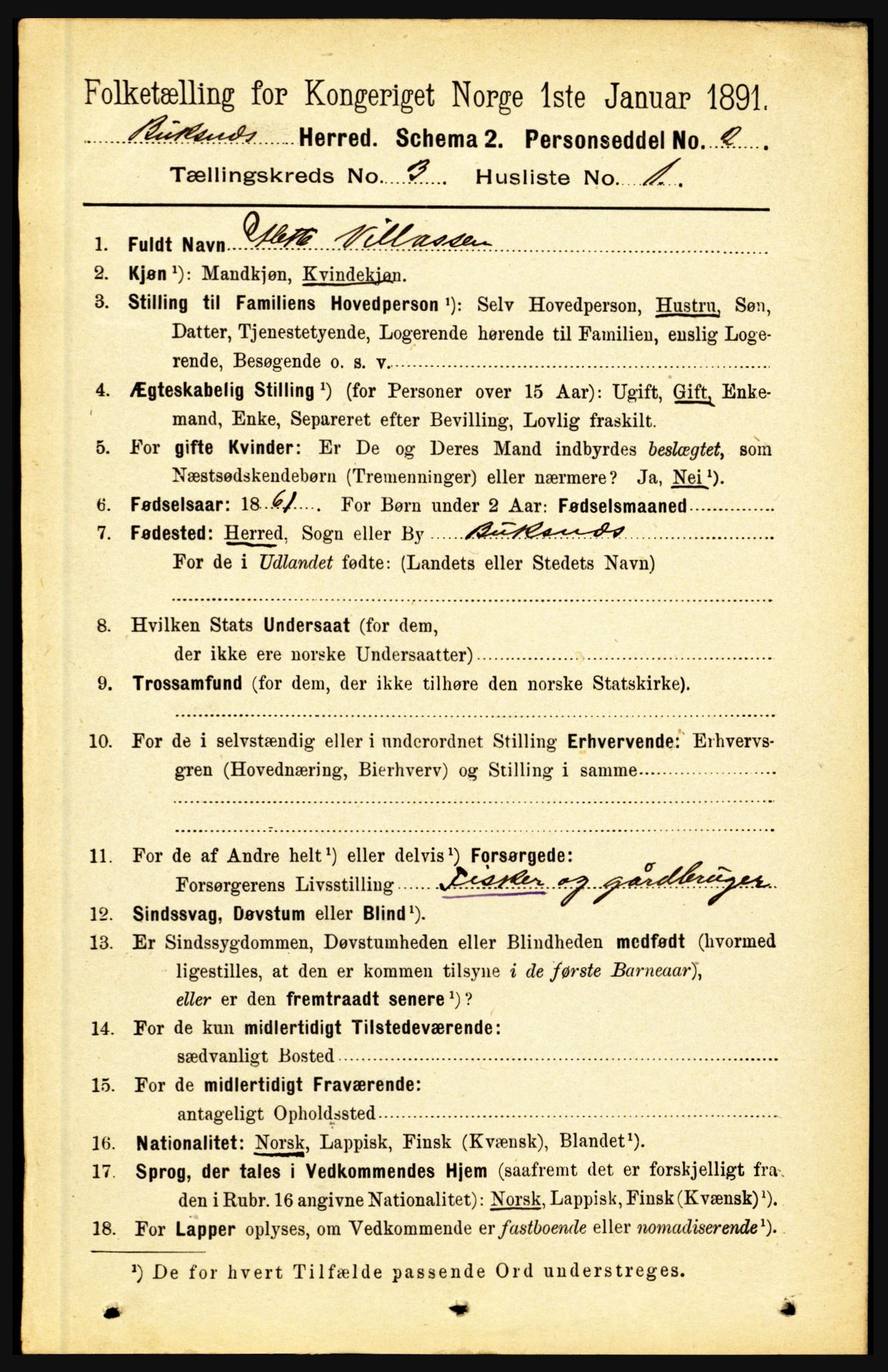 RA, 1891 census for 1860 Buksnes, 1891, p. 2205