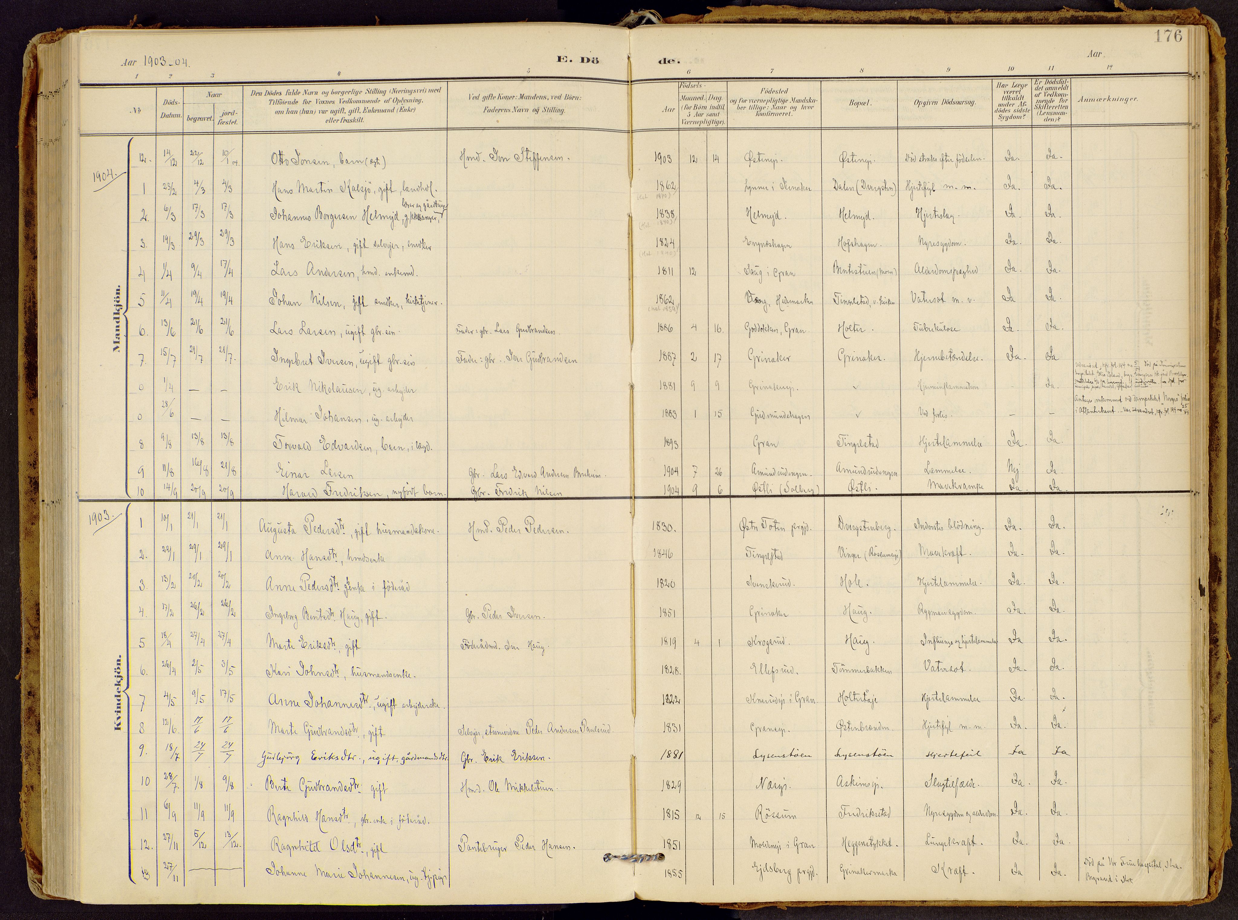 Brandbu prestekontor, SAH/PREST-114/H/Ha/Haa/L0002: Parish register (official) no. 2, 1899-1914, p. 176