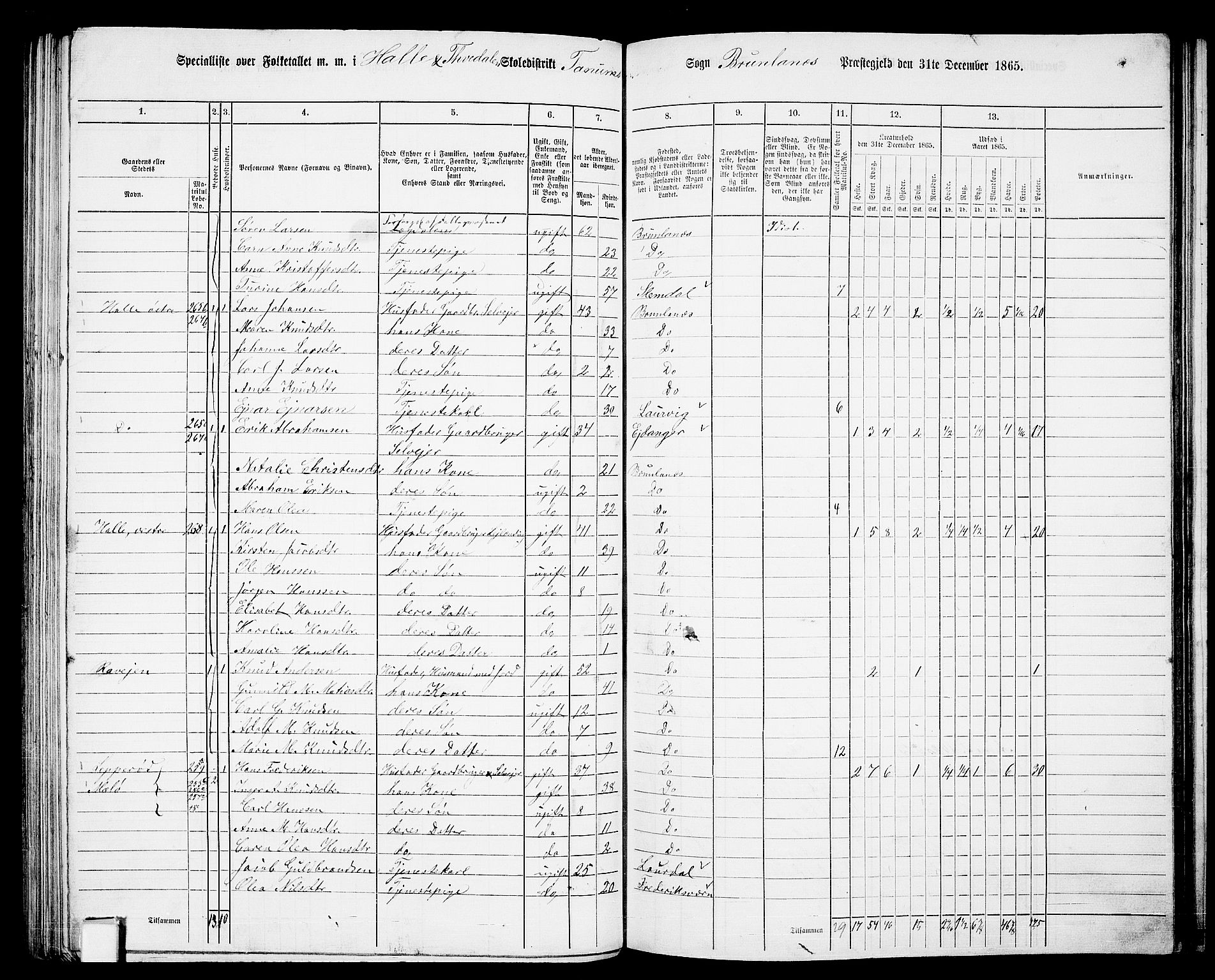 RA, 1865 census for Brunlanes, 1865, p. 97