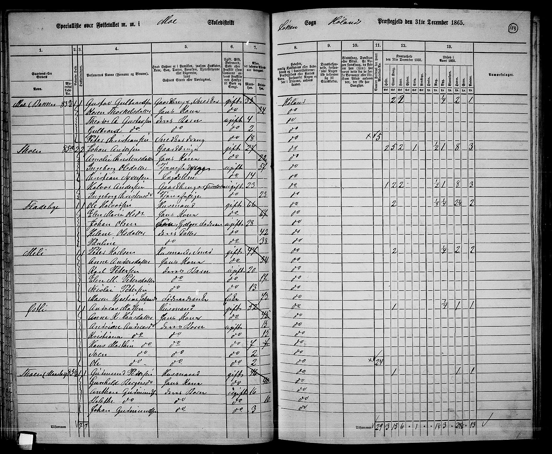 RA, 1865 census for Høland, 1865, p. 96