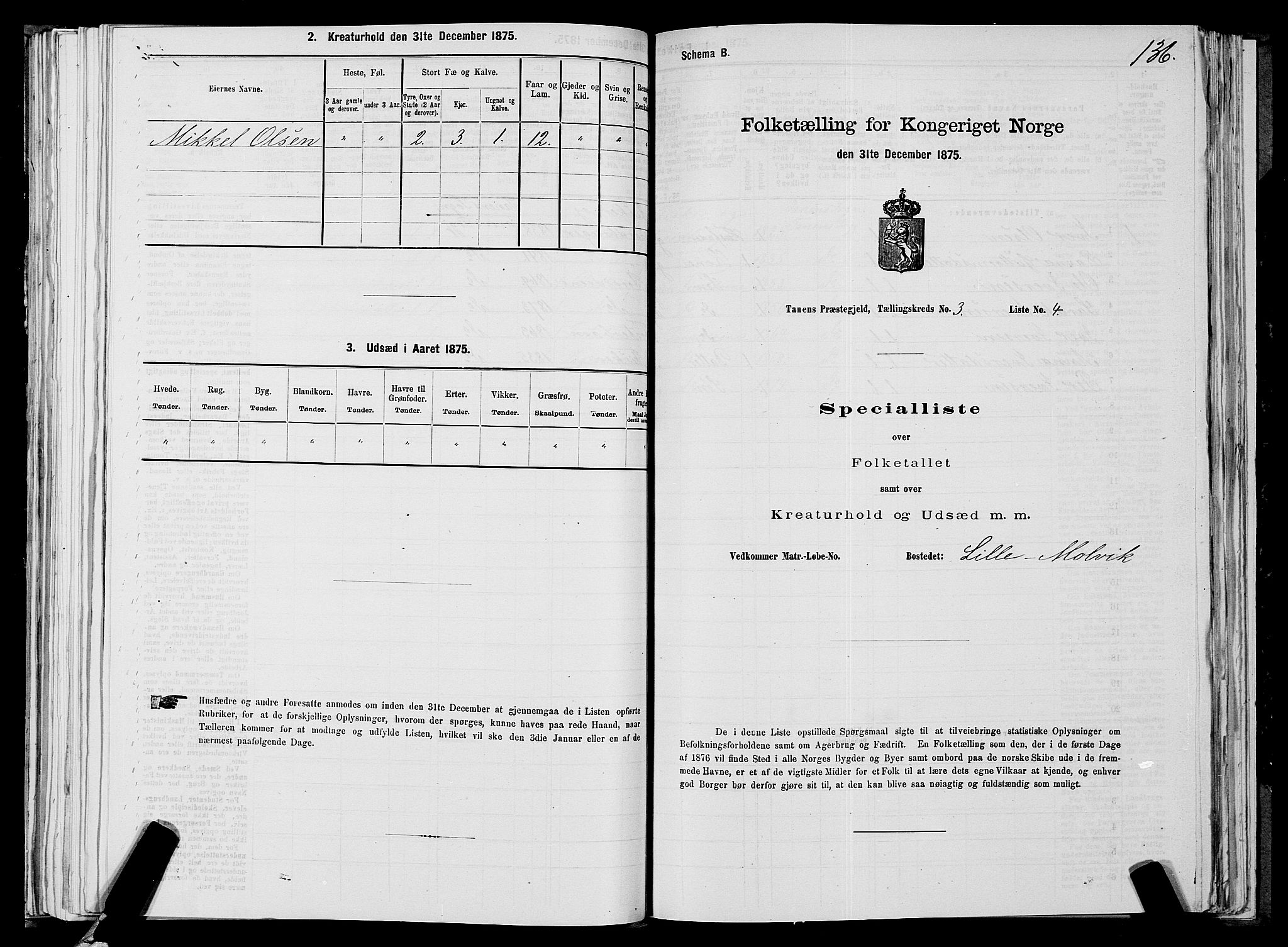 SATØ, 1875 census for 2025P Tana, 1875, p. 1136