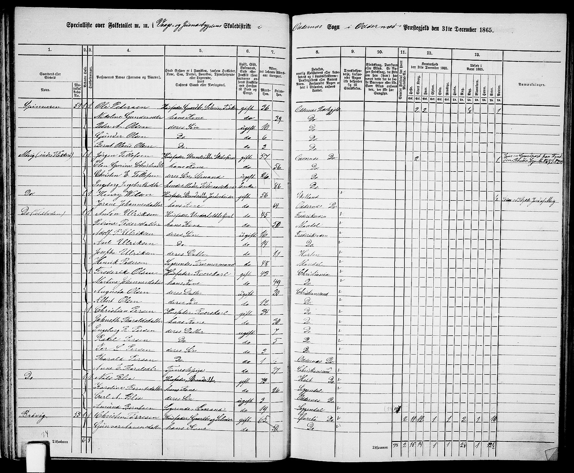 RA, 1865 census for Oddernes, 1865, p. 39