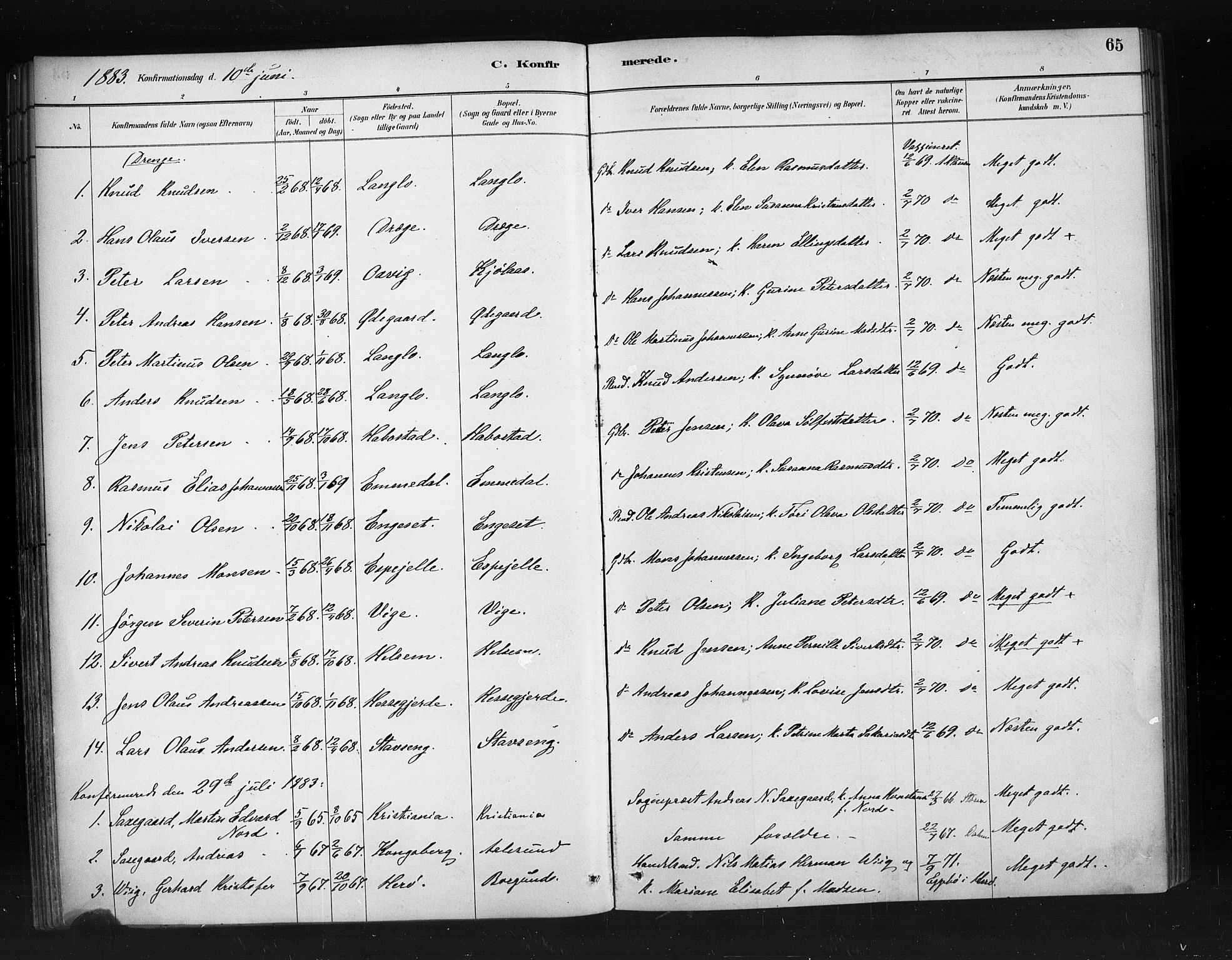 Ministerialprotokoller, klokkerbøker og fødselsregistre - Møre og Romsdal, AV/SAT-A-1454/520/L0283: Parish register (official) no. 520A12, 1882-1898, p. 65