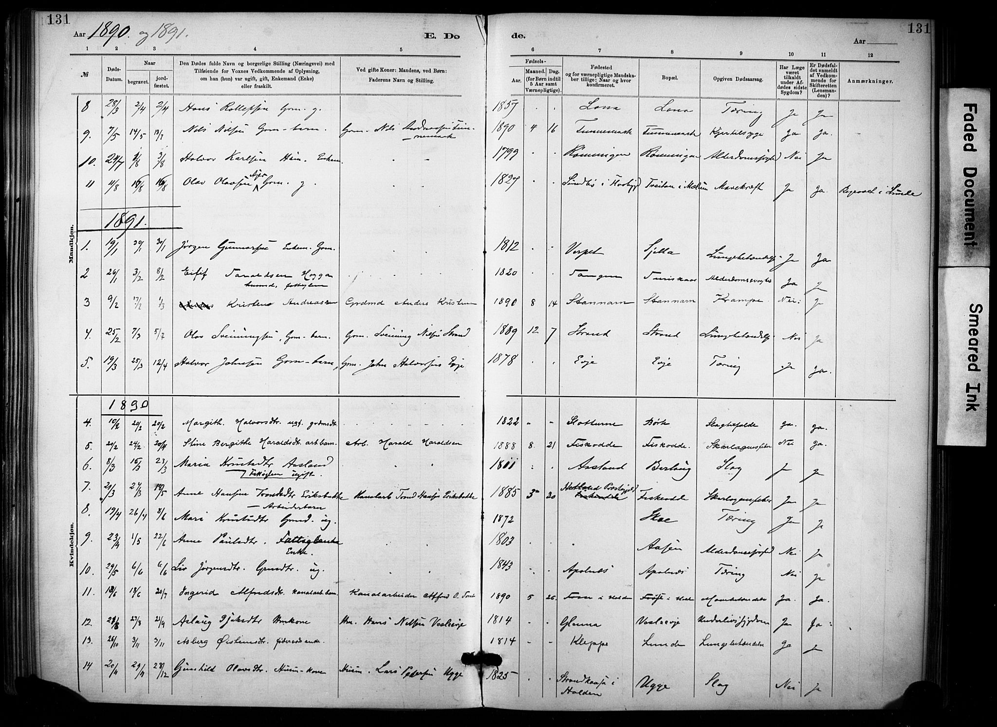 Lunde kirkebøker, AV/SAKO-A-282/F/Fa/L0002: Parish register (official) no. I 2, 1884-1892, p. 131