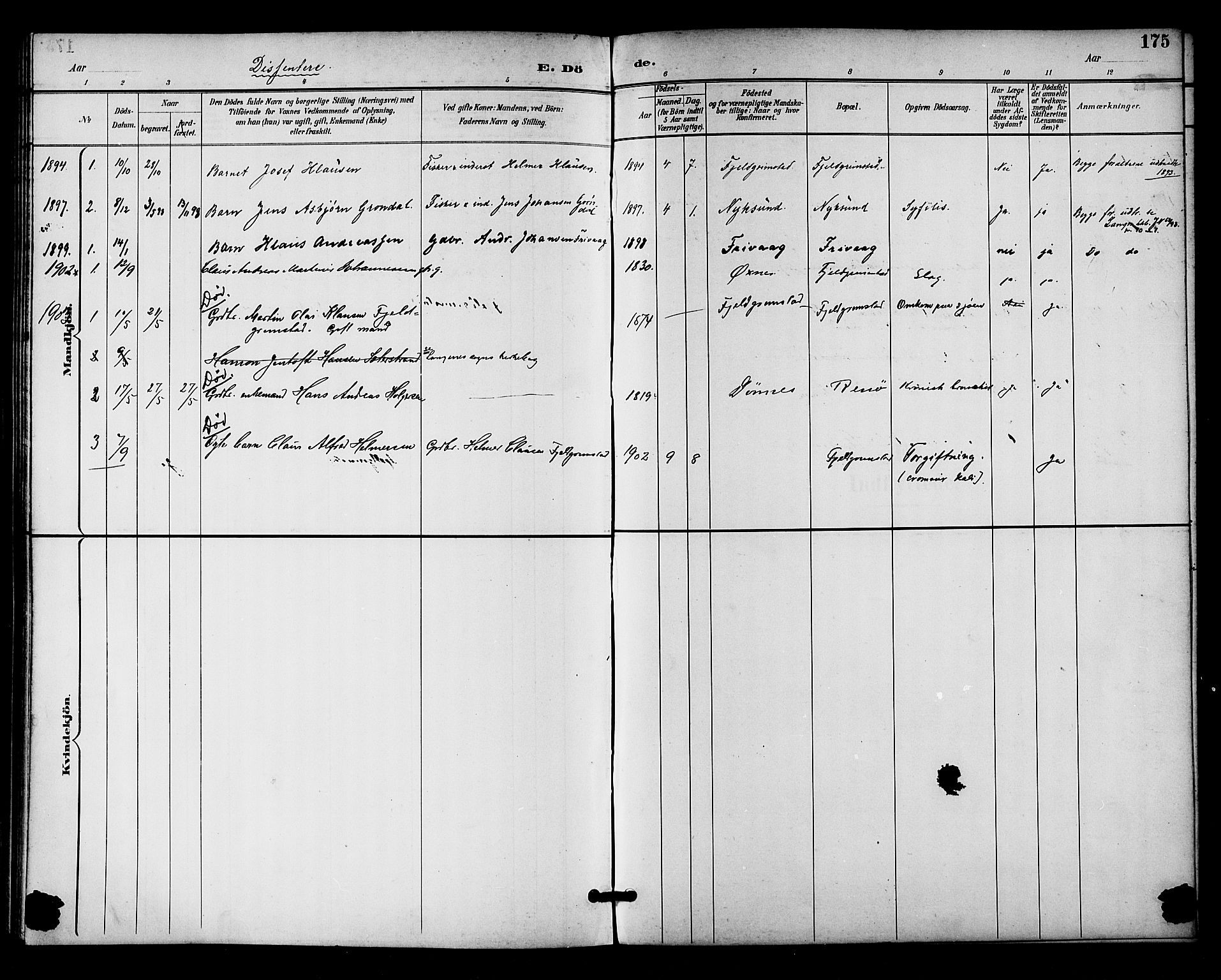 Ministerialprotokoller, klokkerbøker og fødselsregistre - Nordland, AV/SAT-A-1459/893/L1338: Parish register (official) no. 893A10, 1894-1903, p. 175