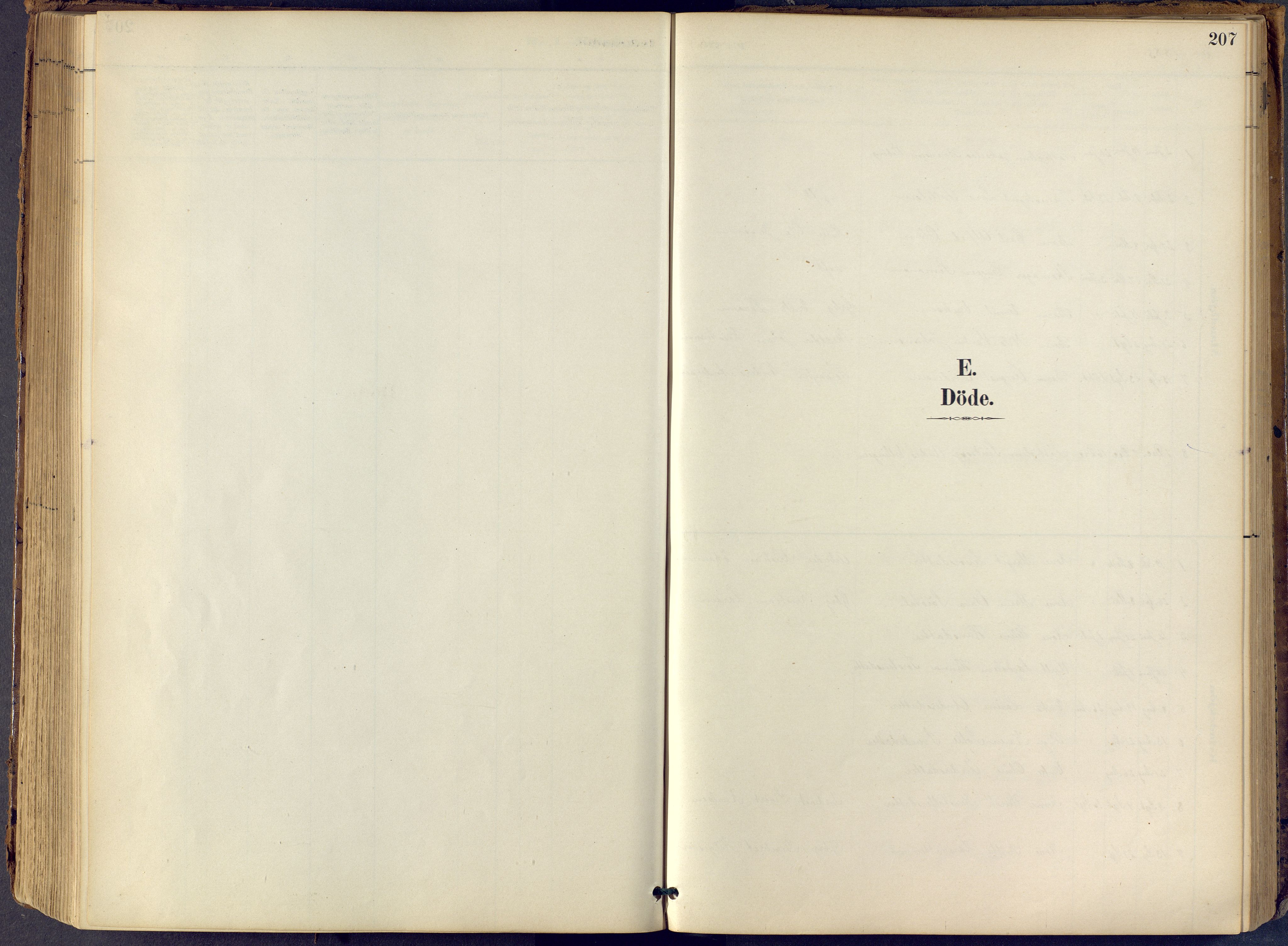 Lier kirkebøker, SAKO/A-230/F/Fb/L0001: Parish register (official) no. II 1, 1883-1910, p. 207
