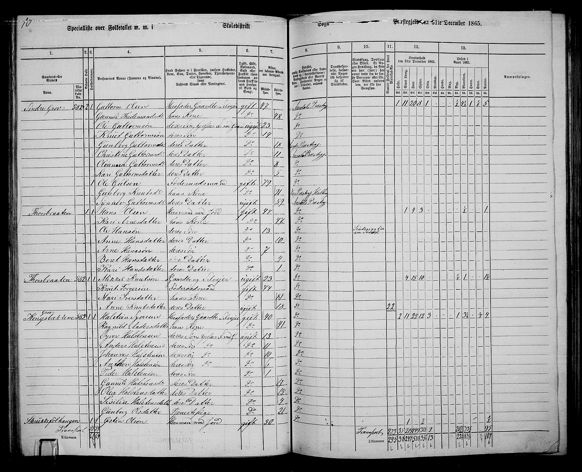 RA, 1865 census for Sør-Aurdal, 1865, p. 154