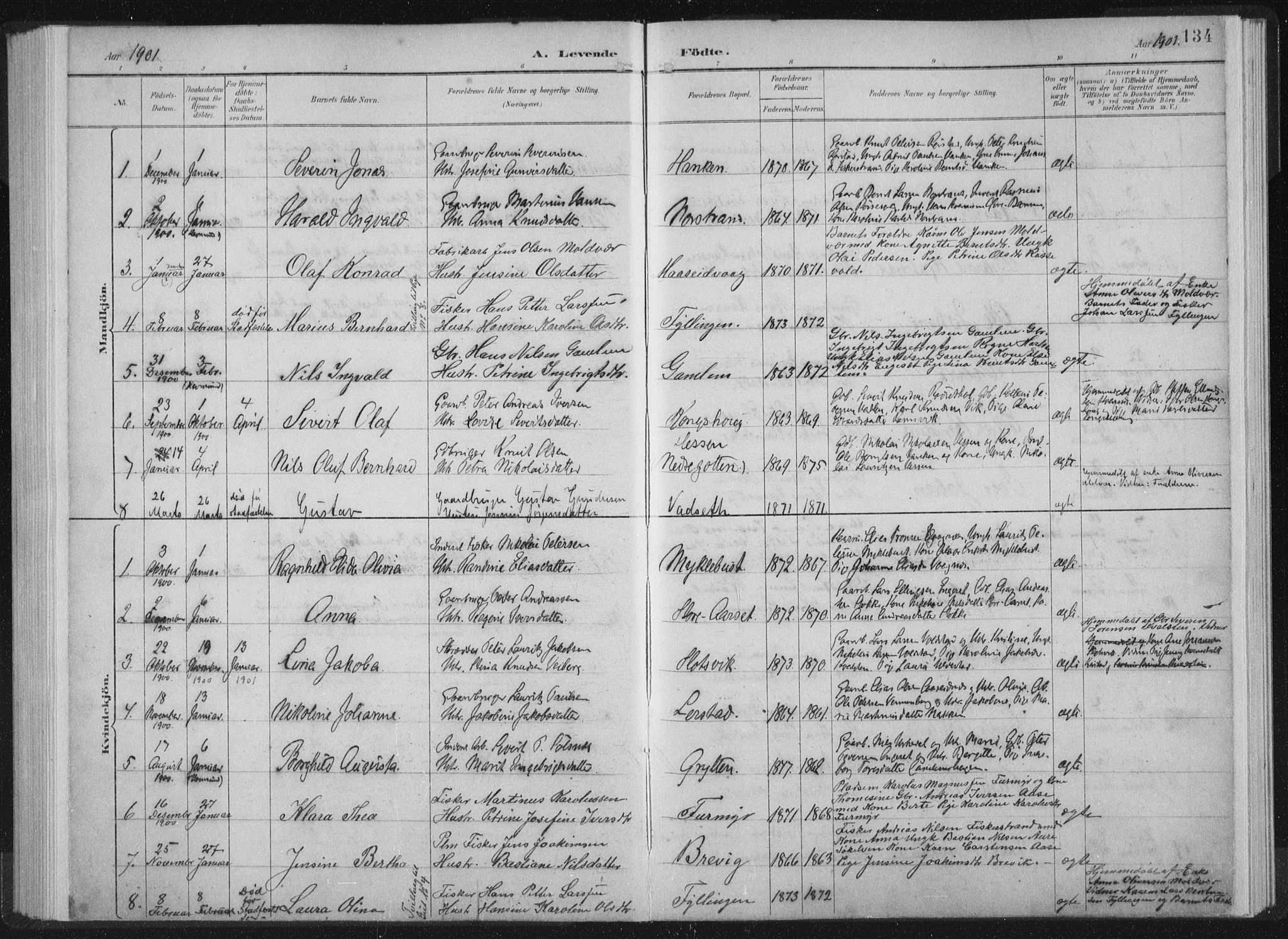 Ministerialprotokoller, klokkerbøker og fødselsregistre - Møre og Romsdal, AV/SAT-A-1454/528/L0405: Parish register (official) no. 528A14, 1891-1906, p. 134