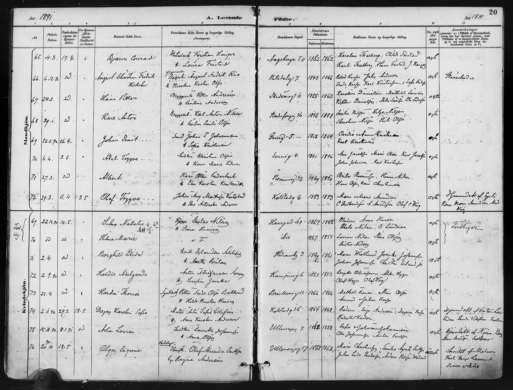 Kampen prestekontor Kirkebøker, AV/SAO-A-10853/F/Fa/L0005: Parish register (official) no. I 5, 1890-1902, p. 20