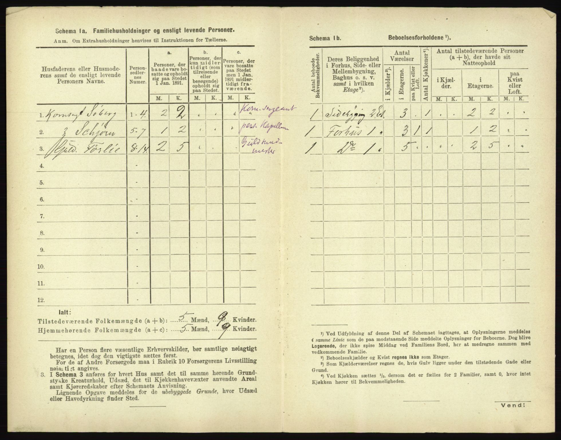 RA, 1891 census for 0101 Fredrikshald, 1891, p. 345