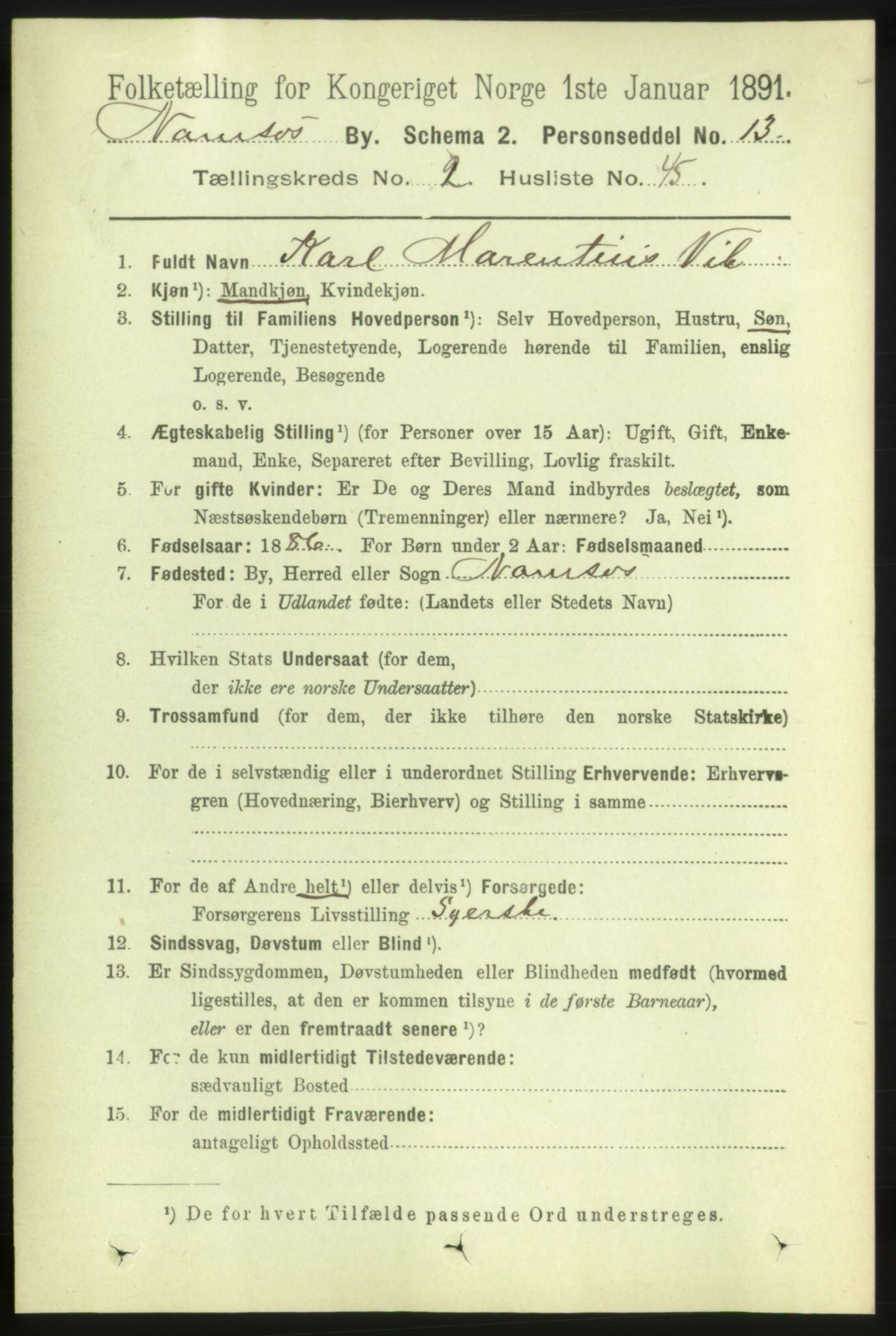 RA, 1891 census for 1703 Namsos, 1891, p. 1040